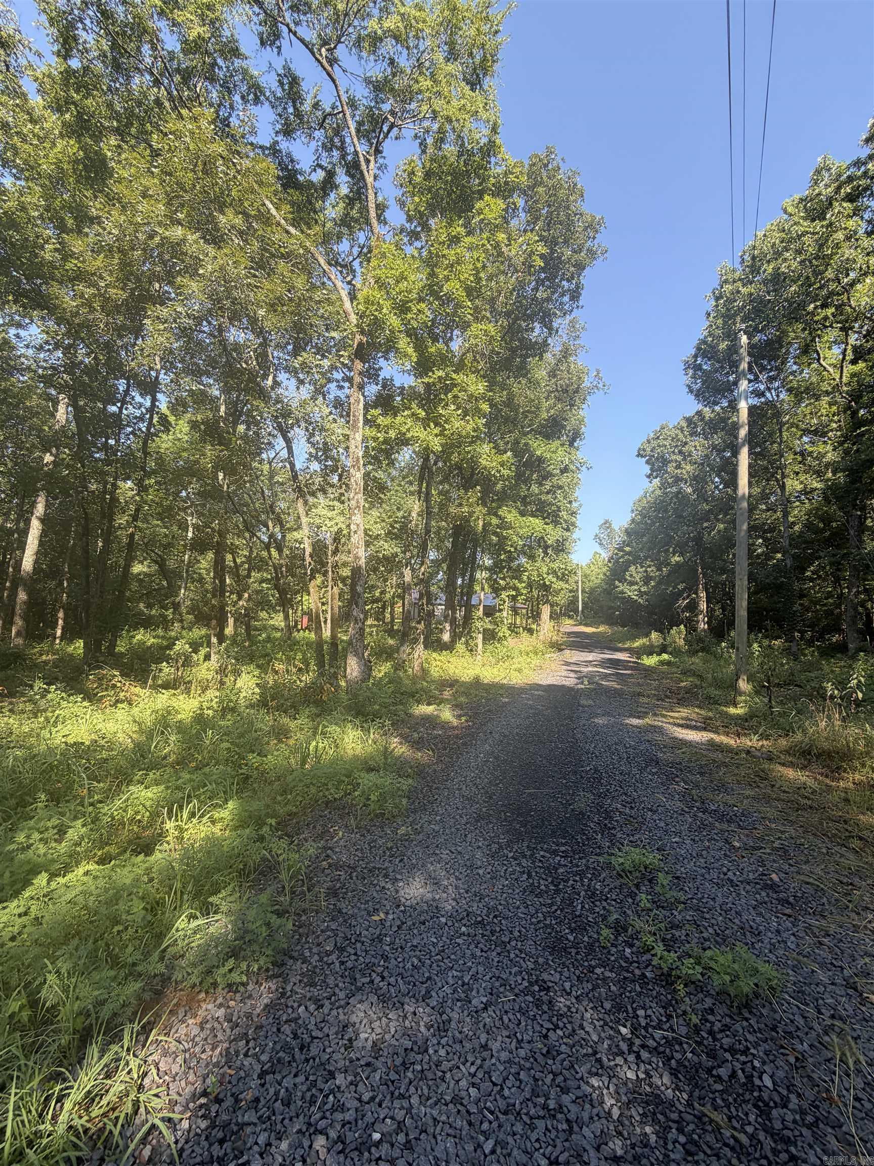 14411 Arnies Valley Road Property Photo 17