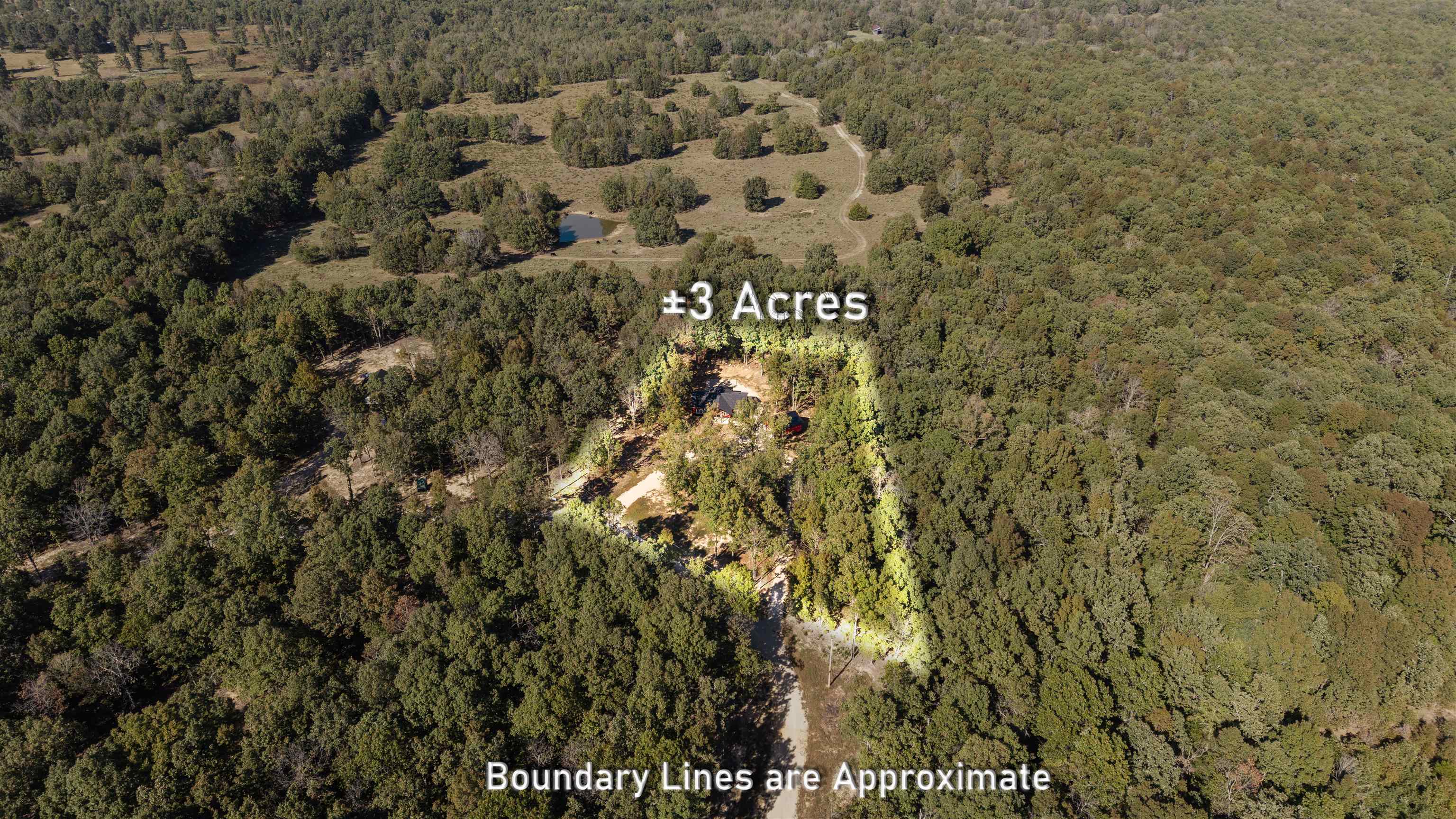 26041551 Property Photo 4