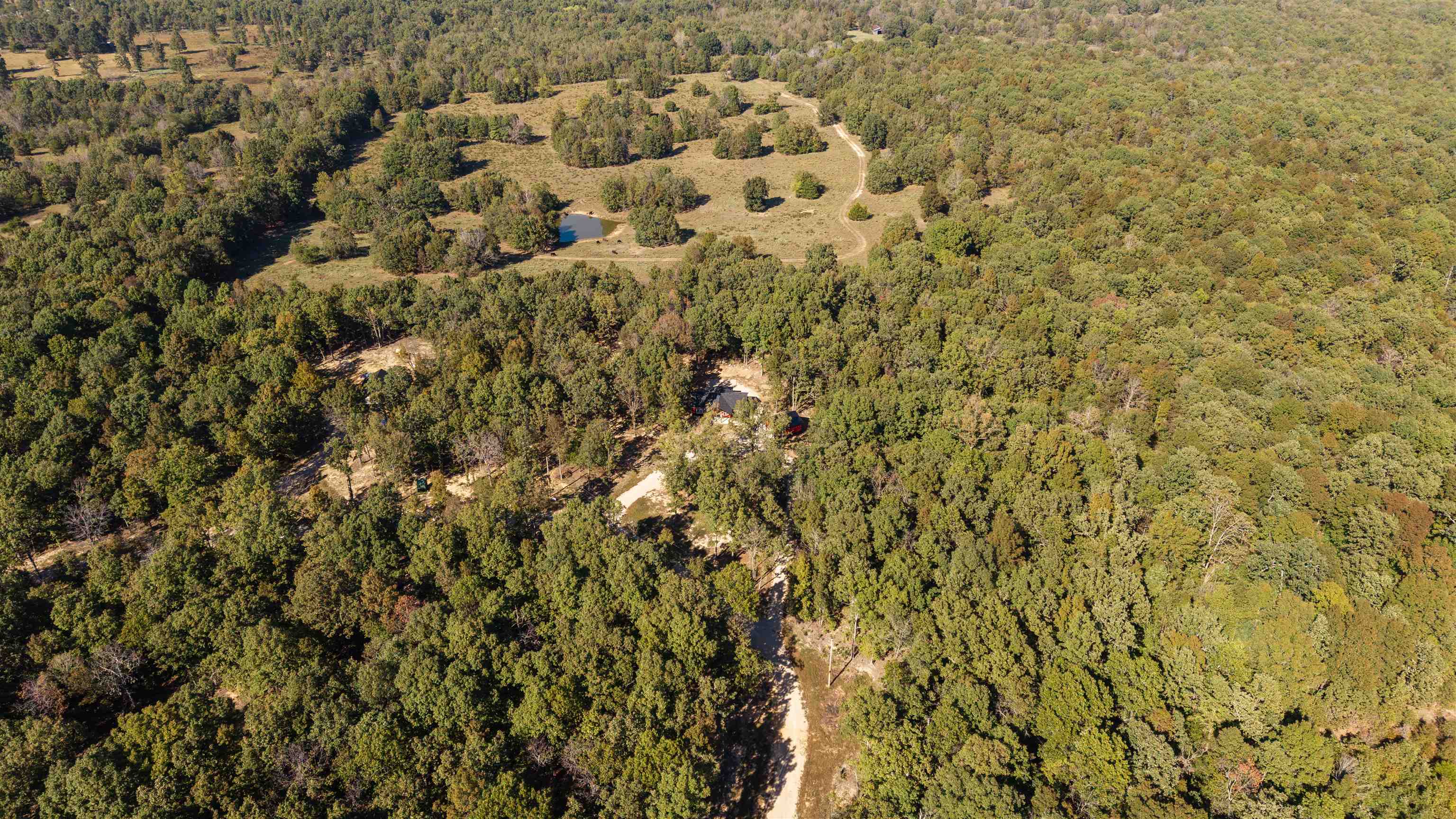 26041551 Property Photo 48