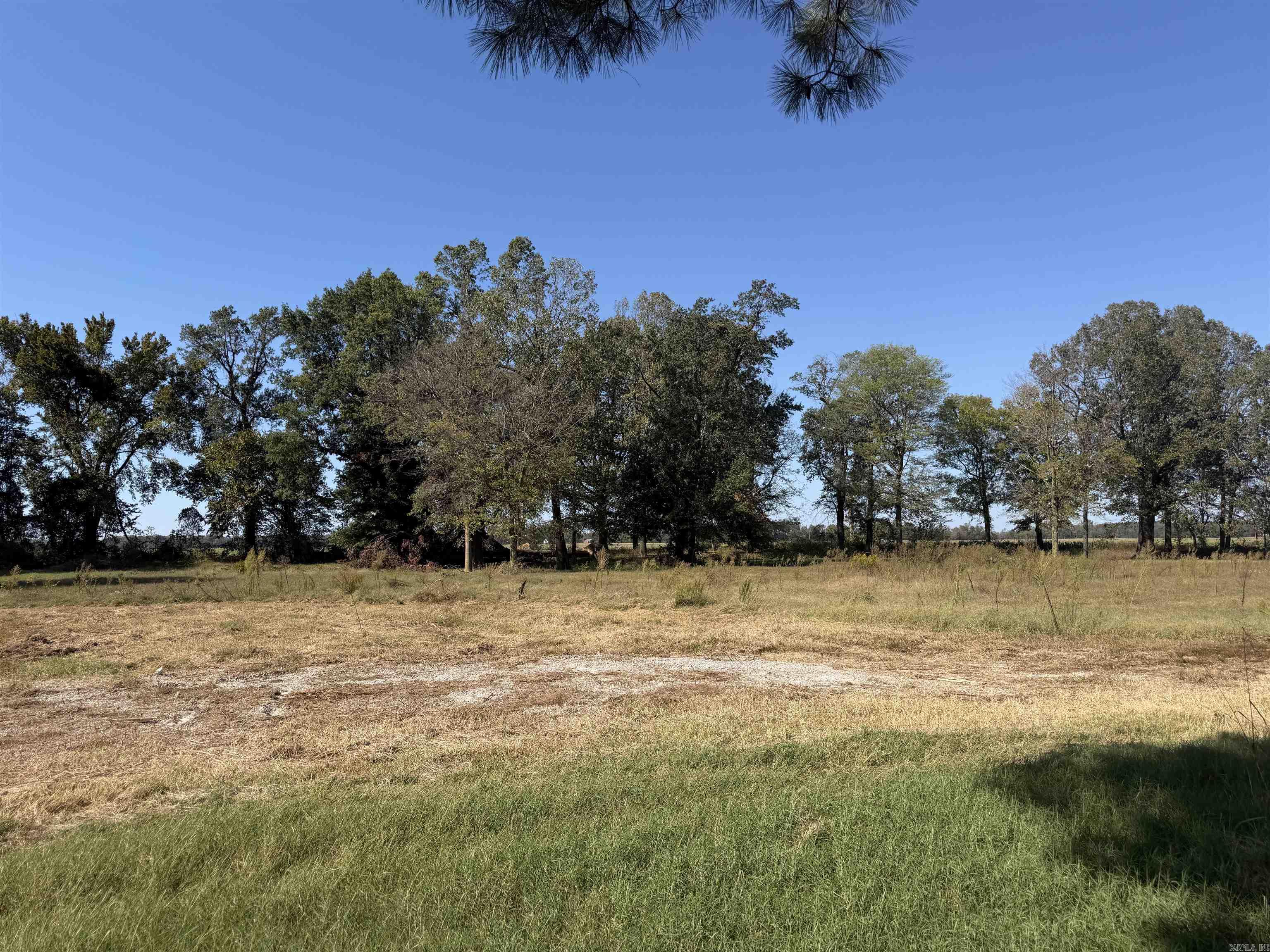 295 Law 511 Road Property Photo 3