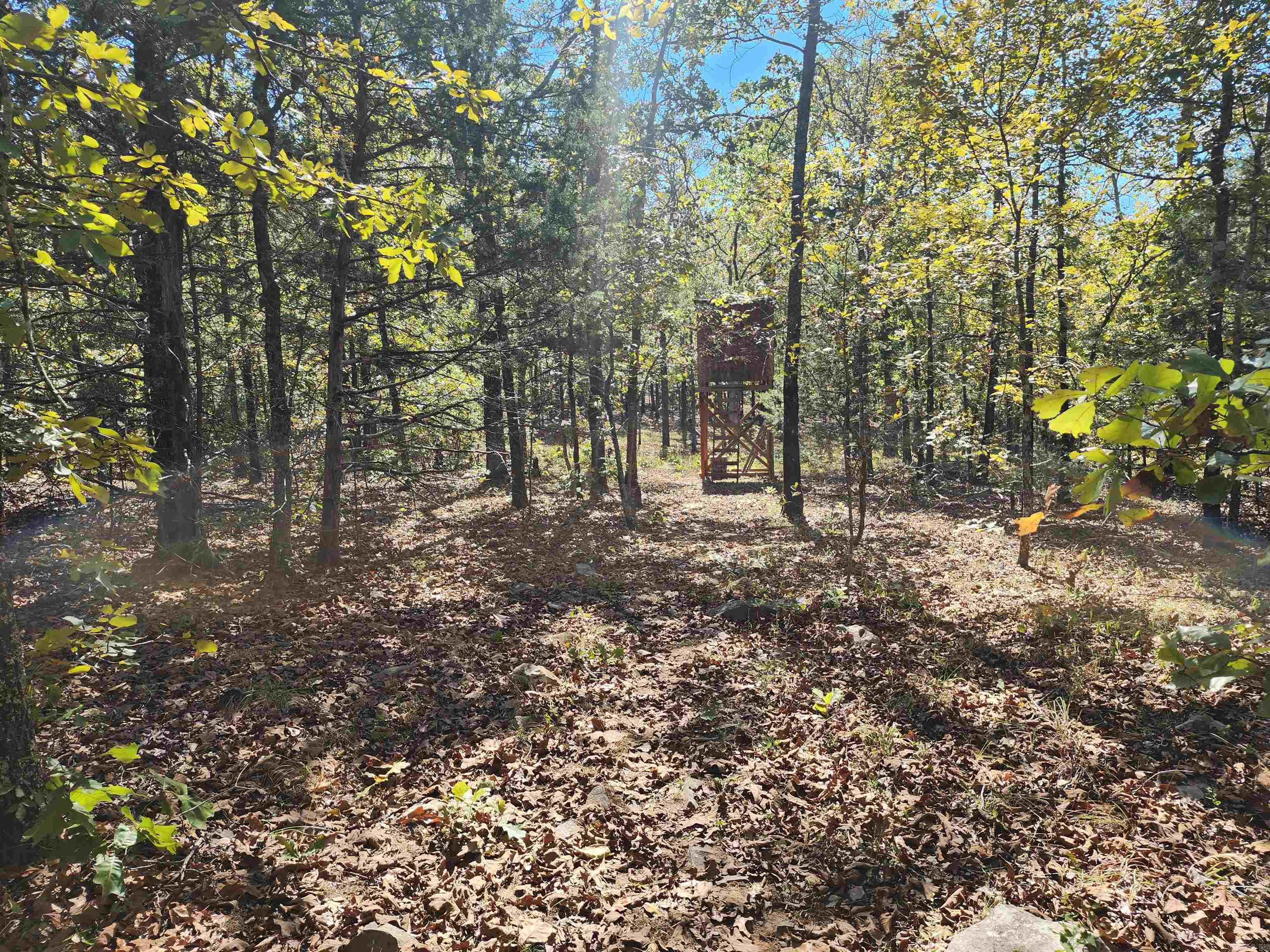 153 & 155 Otto Road Property Photo 33