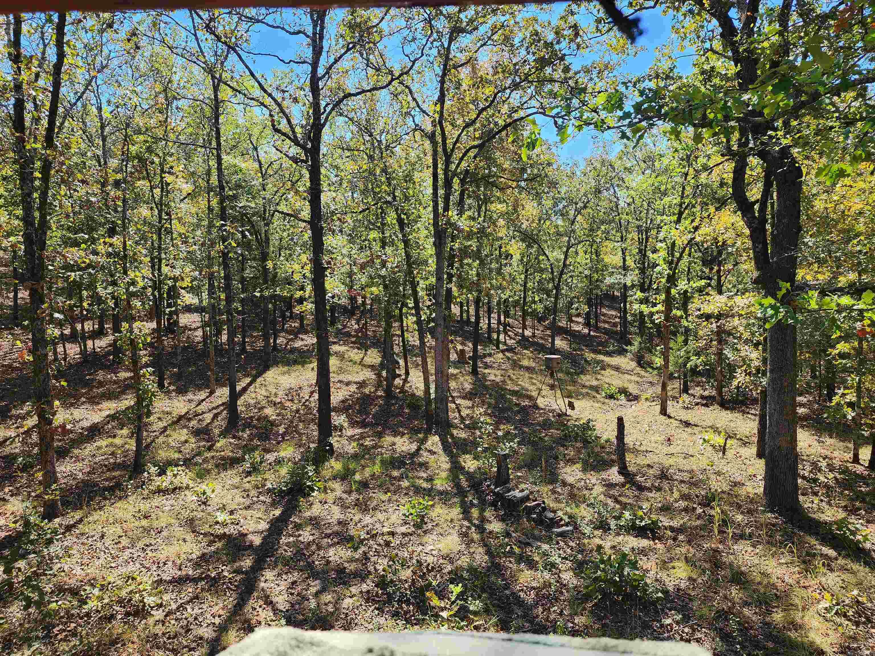 153 & 155 Otto Road Property Photo 34