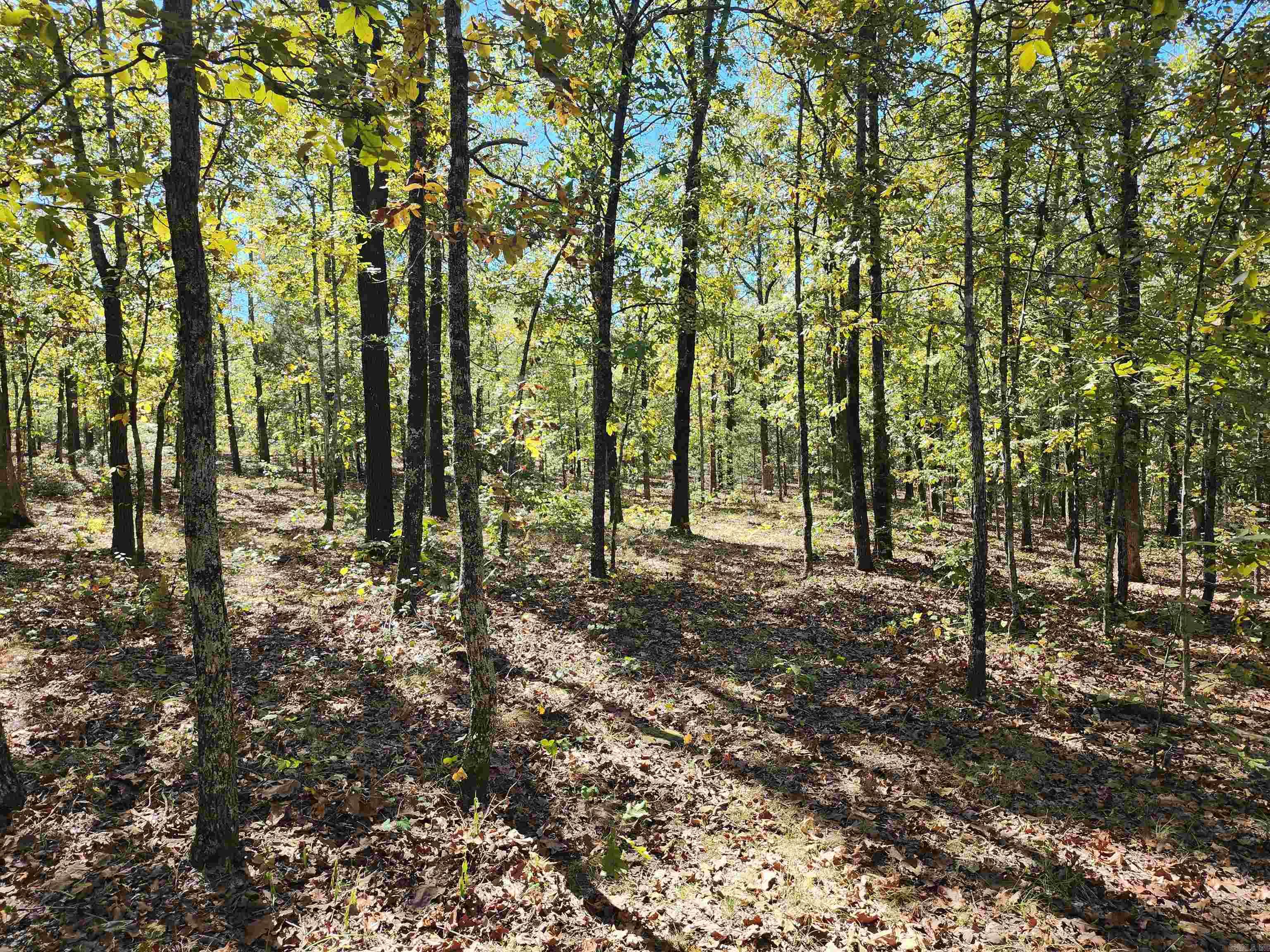153 & 155 Otto Road Property Photo 36