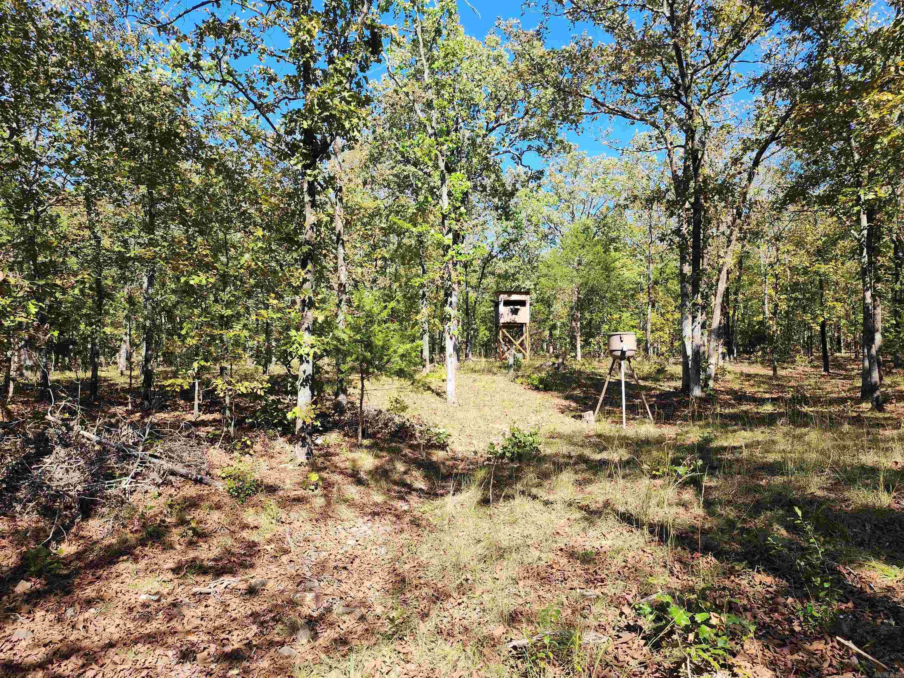 153 & 155 Otto Road Property Photo 38