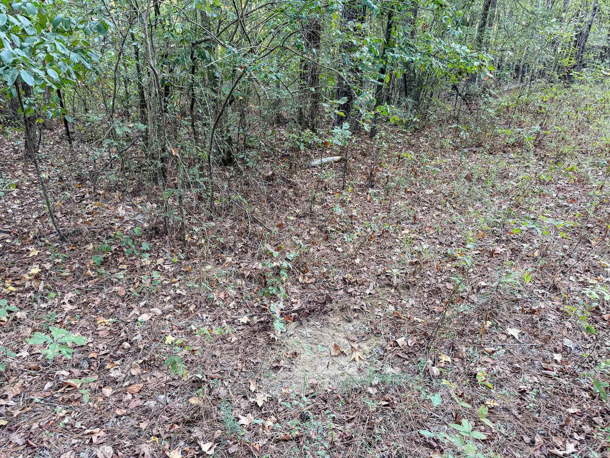 000 Hwy 49 Property Photo 9