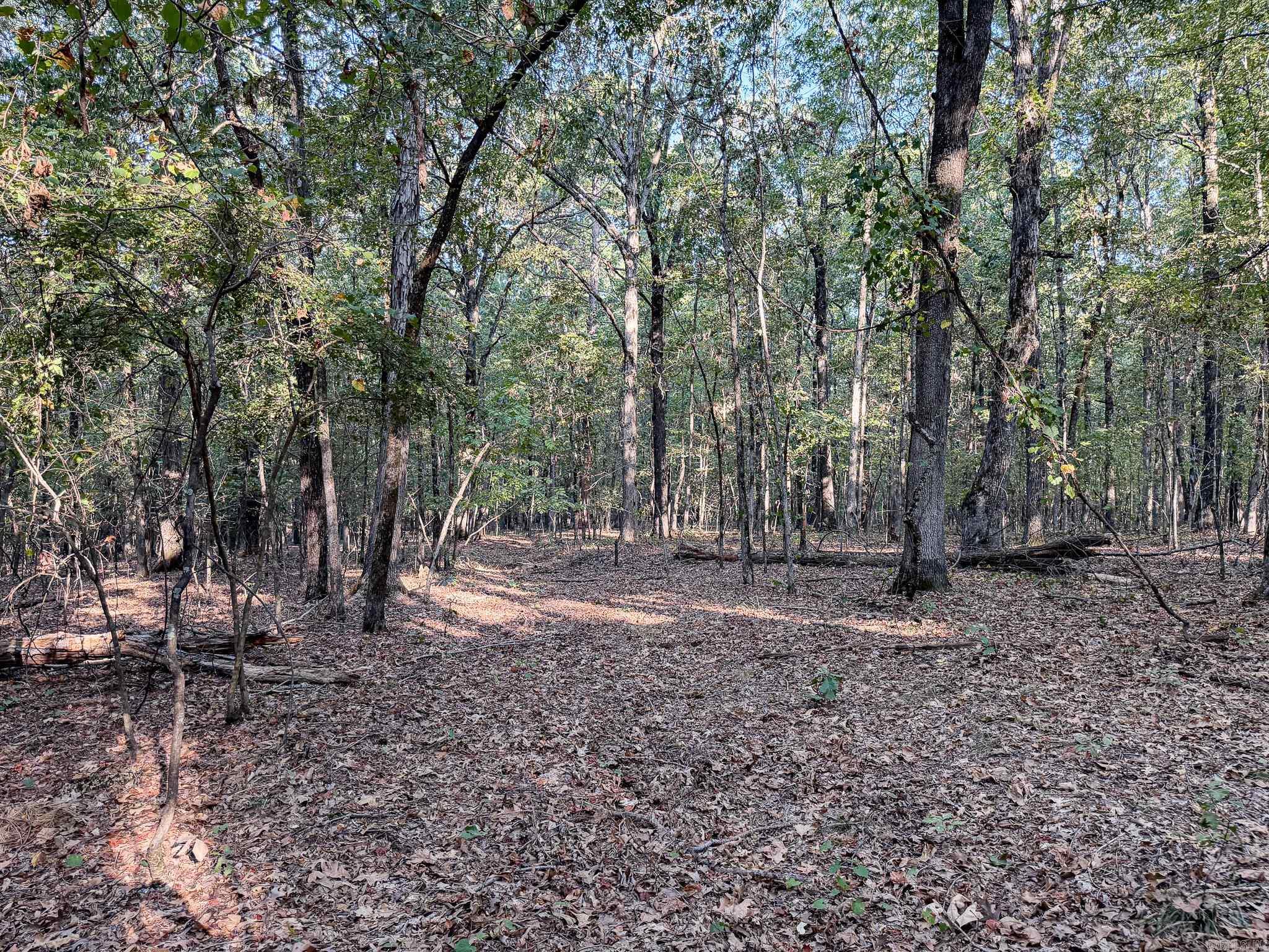 000 Hwy 49 Property Photo 13