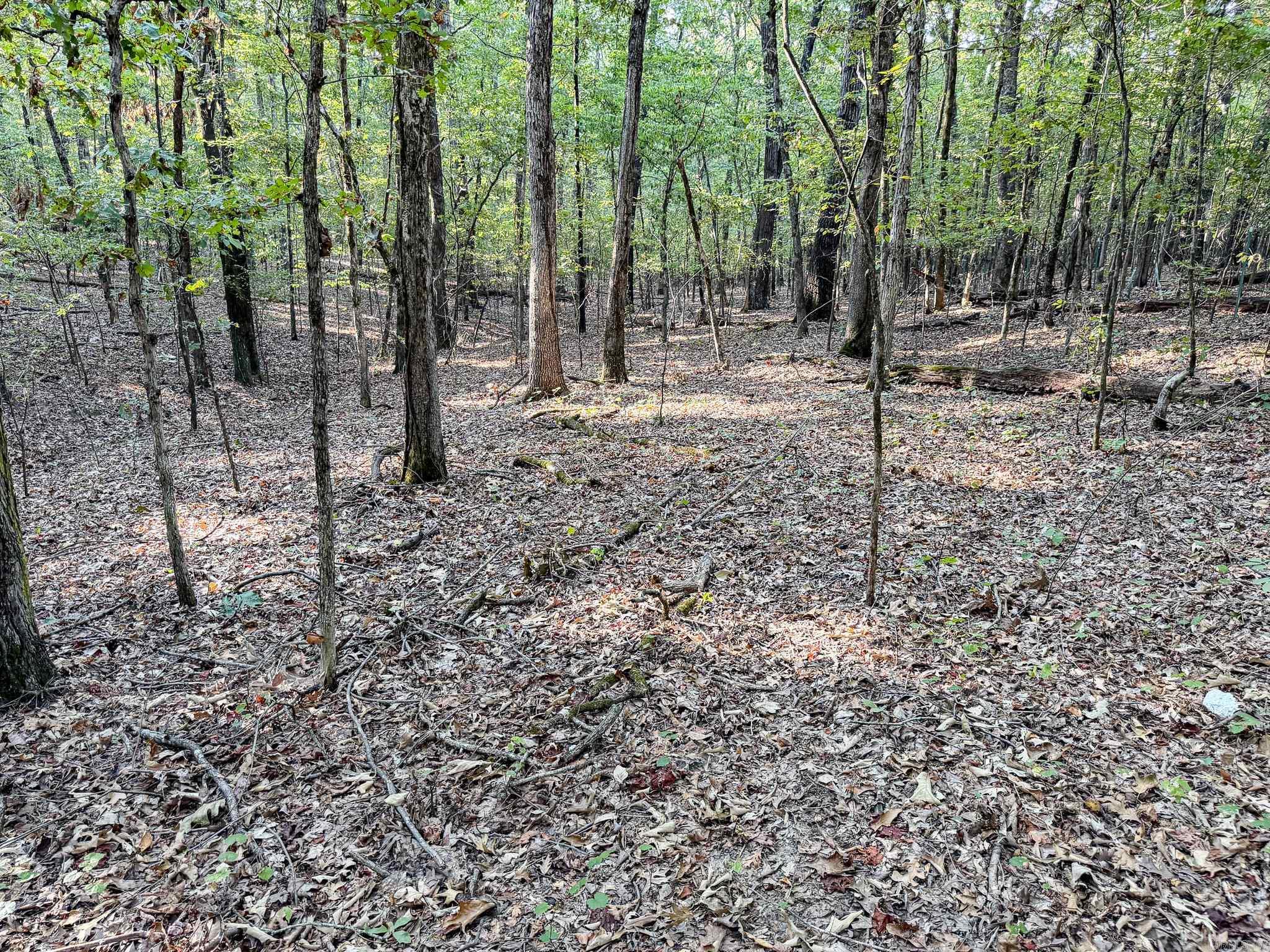 000 Hwy 49 Property Photo 15