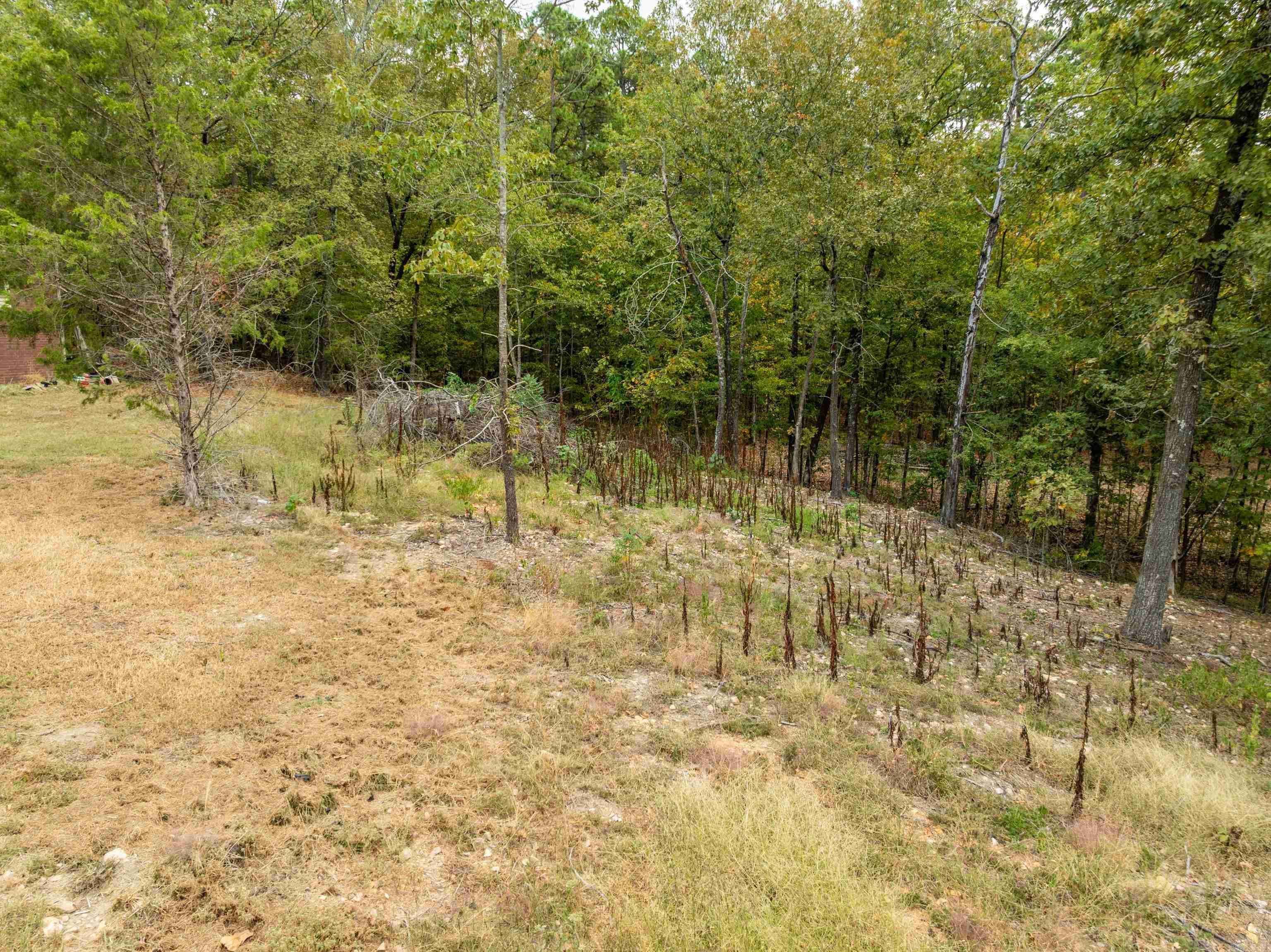 000 Bullion Heights Property Photo 14