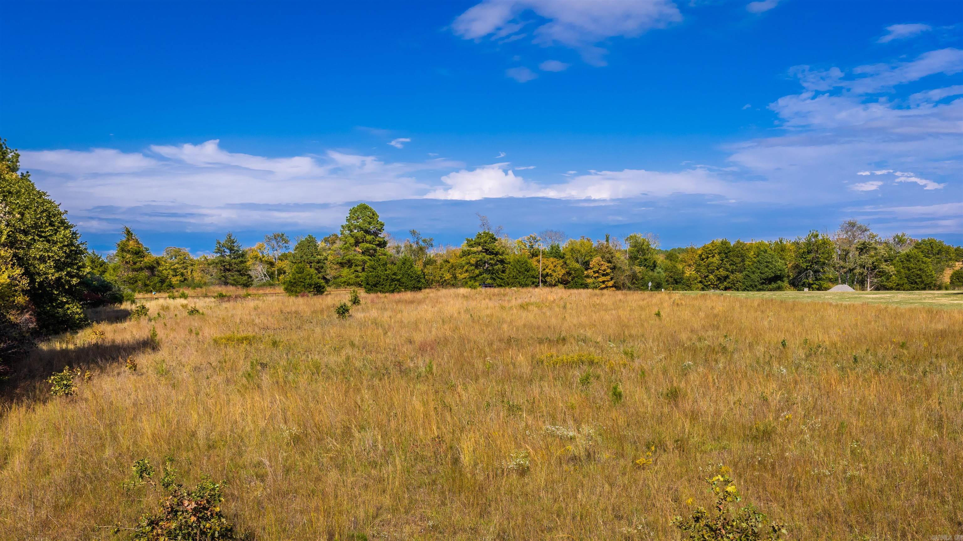 0 Blackjack Road Property Photo 4