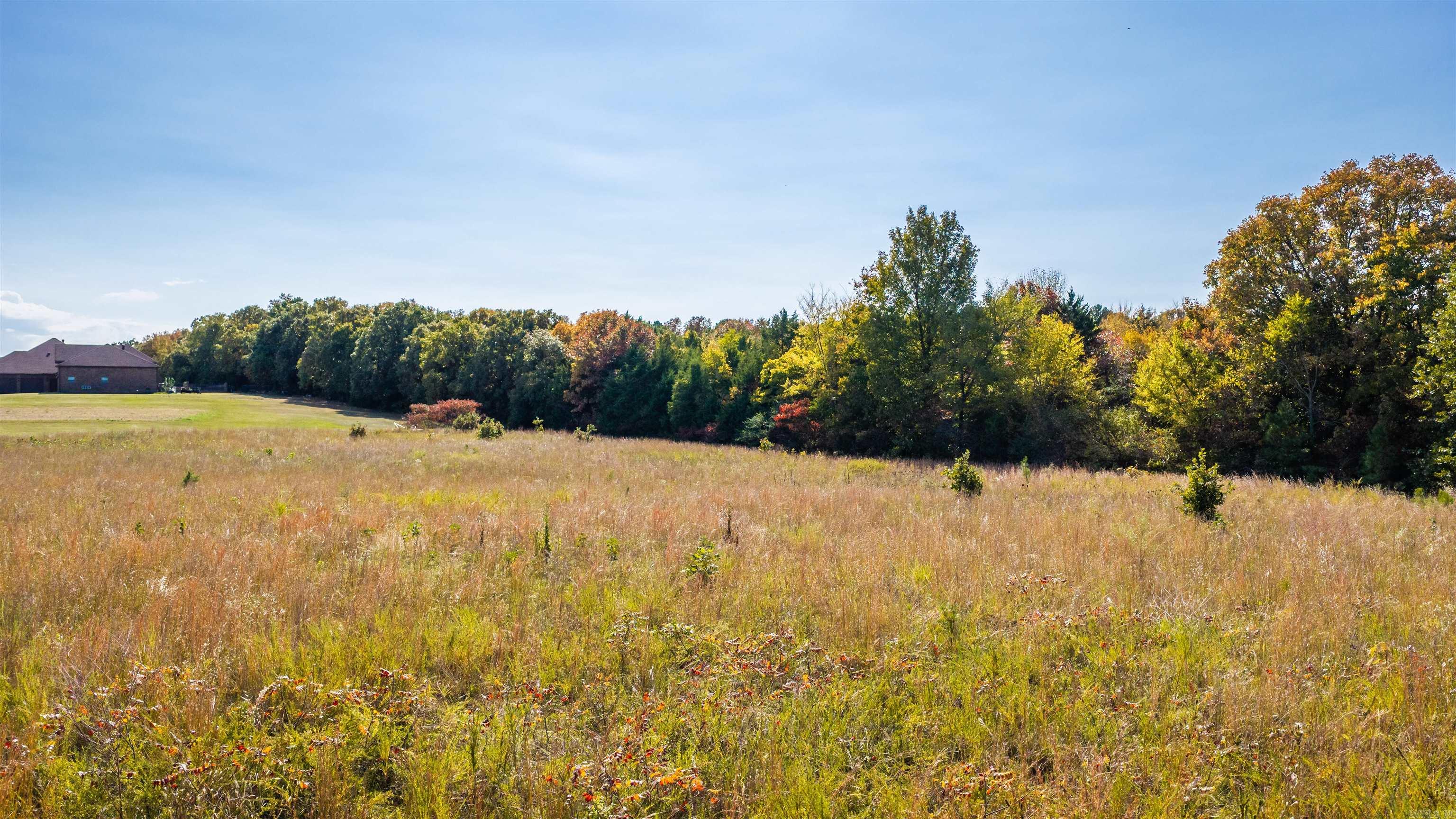 0 Blackjack Road Property Photo 12