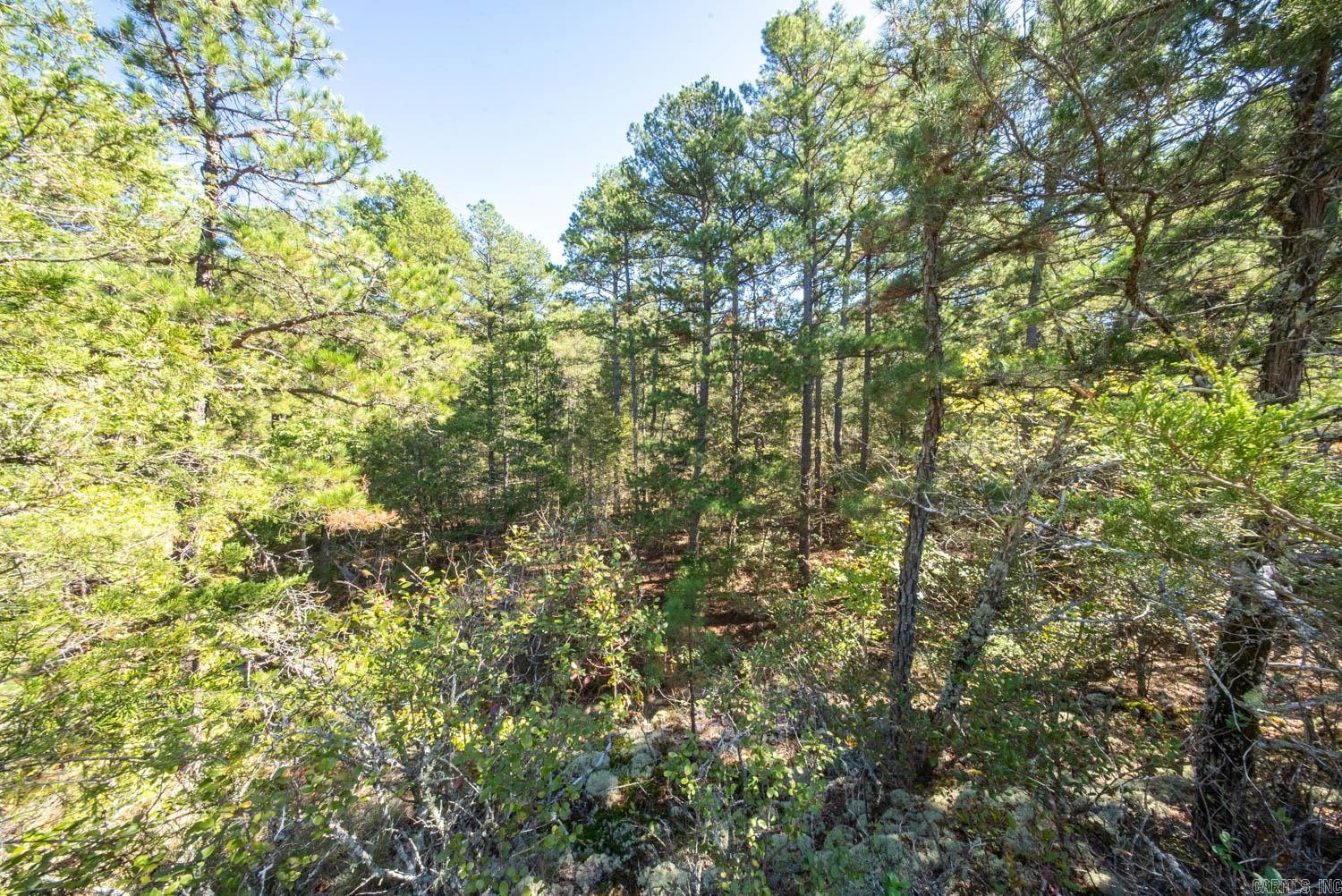 1019 Bartmess Road Property Photo 19