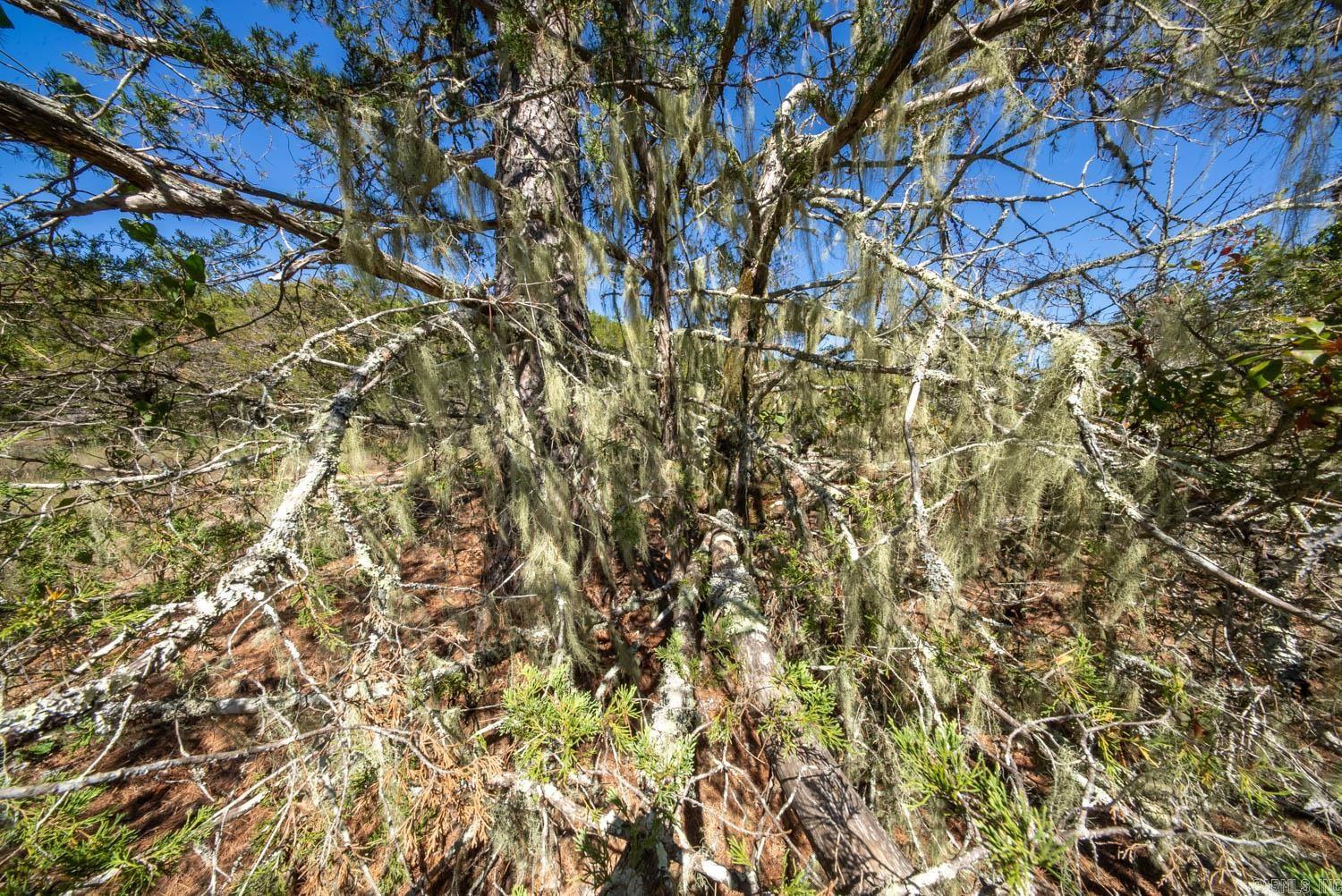 1019 Bartmess Road Property Photo 25