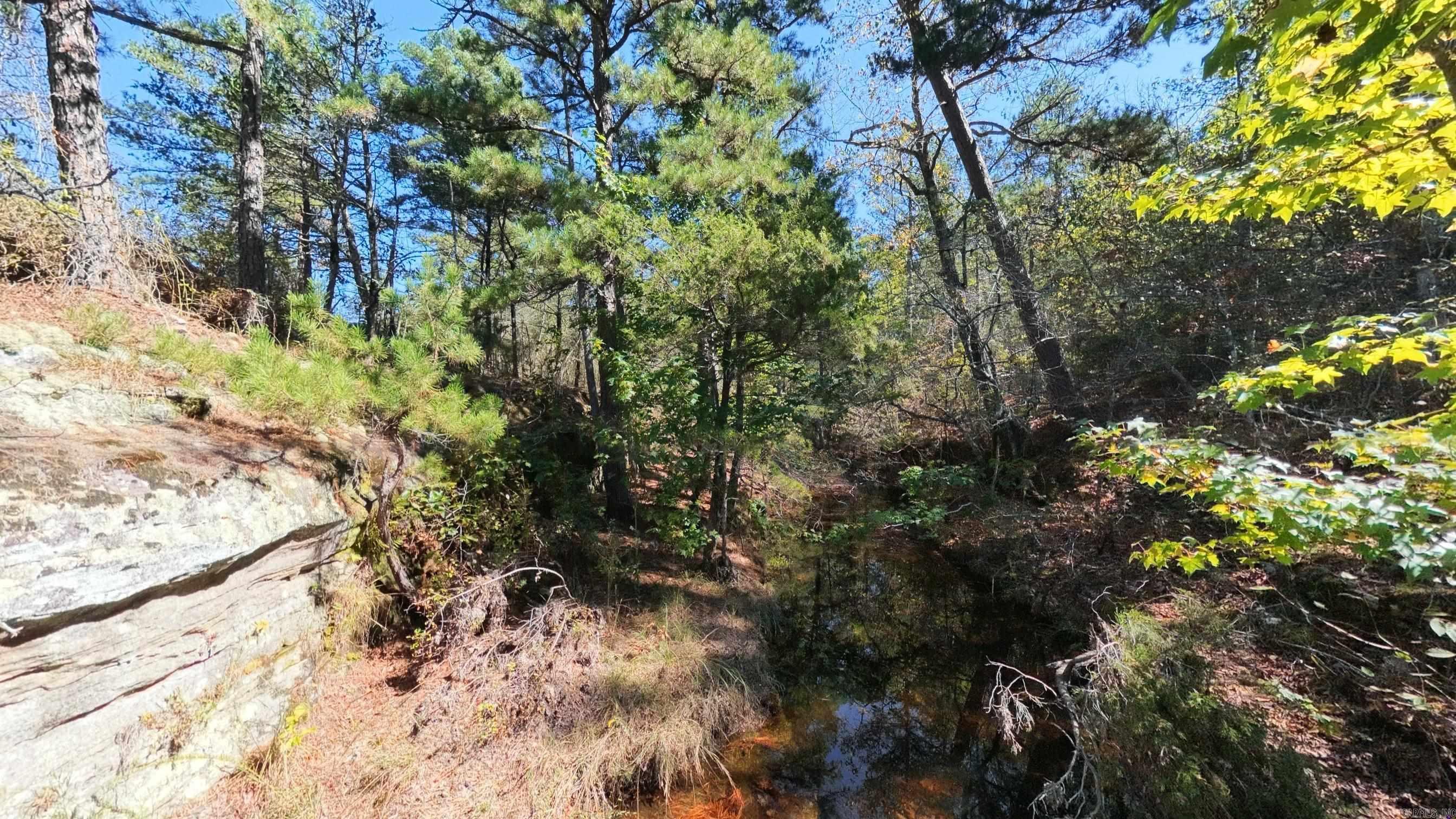 1019 Bartmess Road Property Photo 30