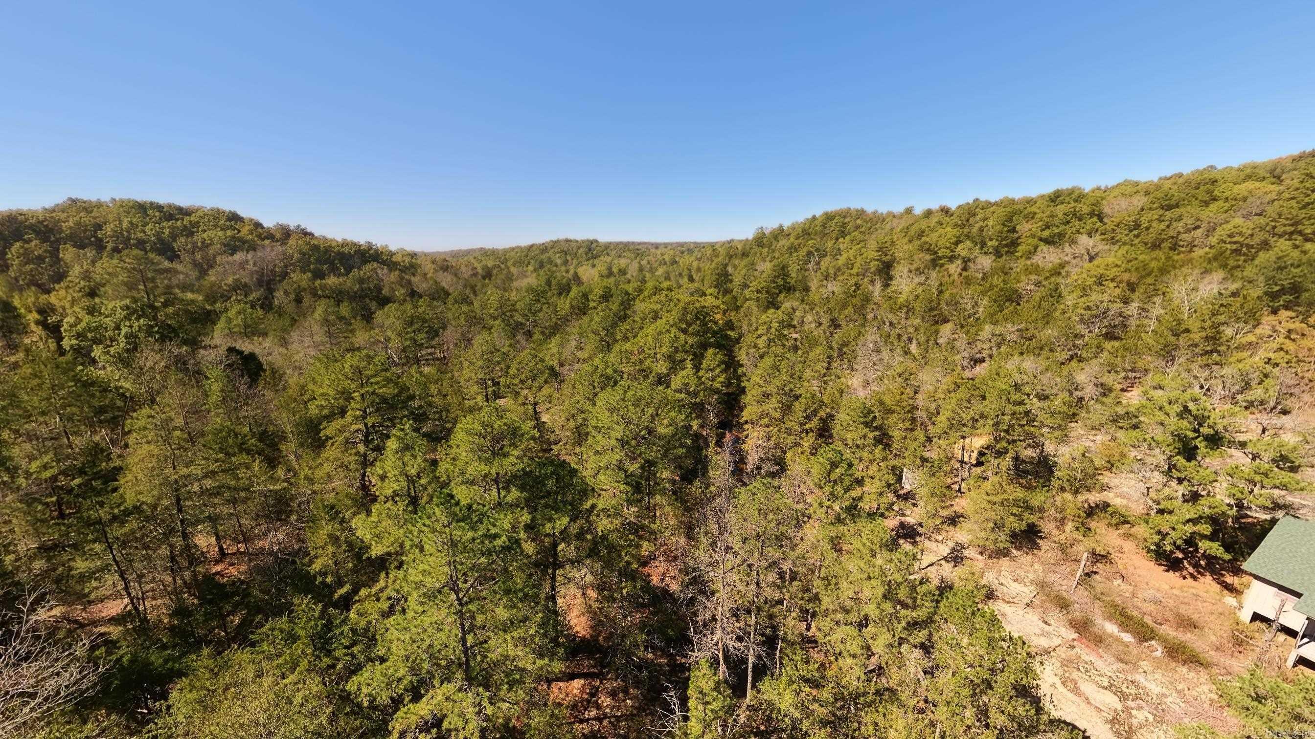 1019 Bartmess Road Property Photo 32