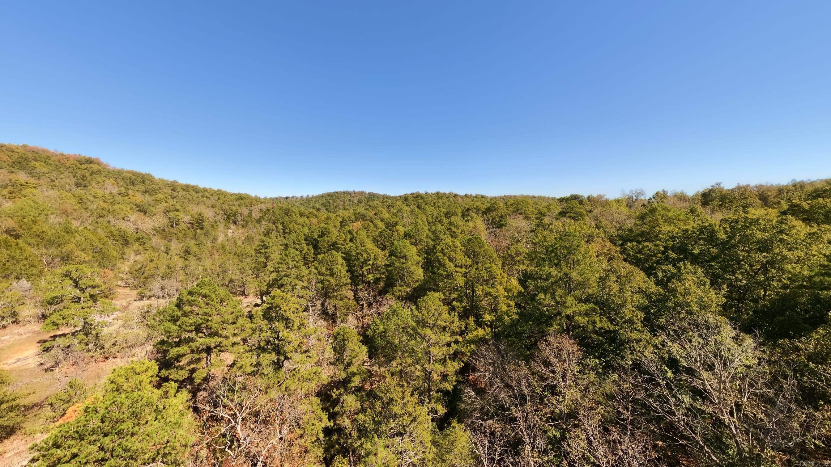 1019 Bartmess Road Property Photo 33