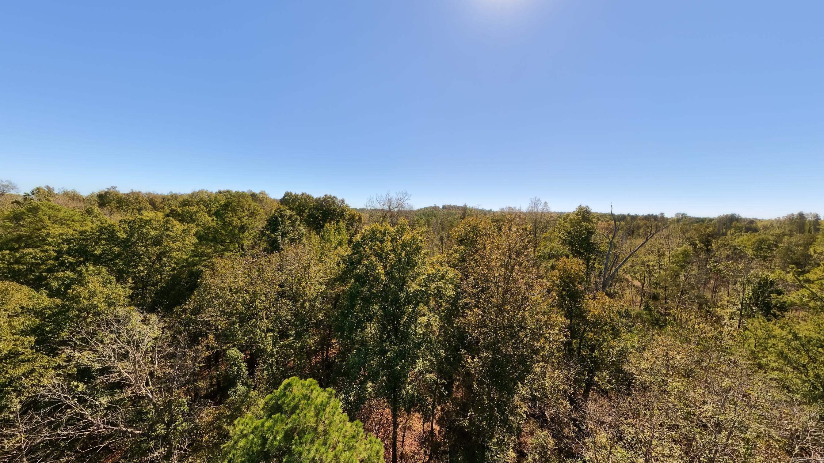 1019 Bartmess Road Property Photo 34