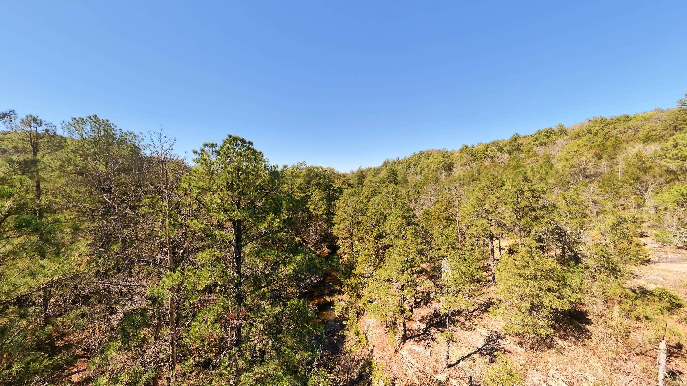 1019 Bartmess Road Property Photo 37