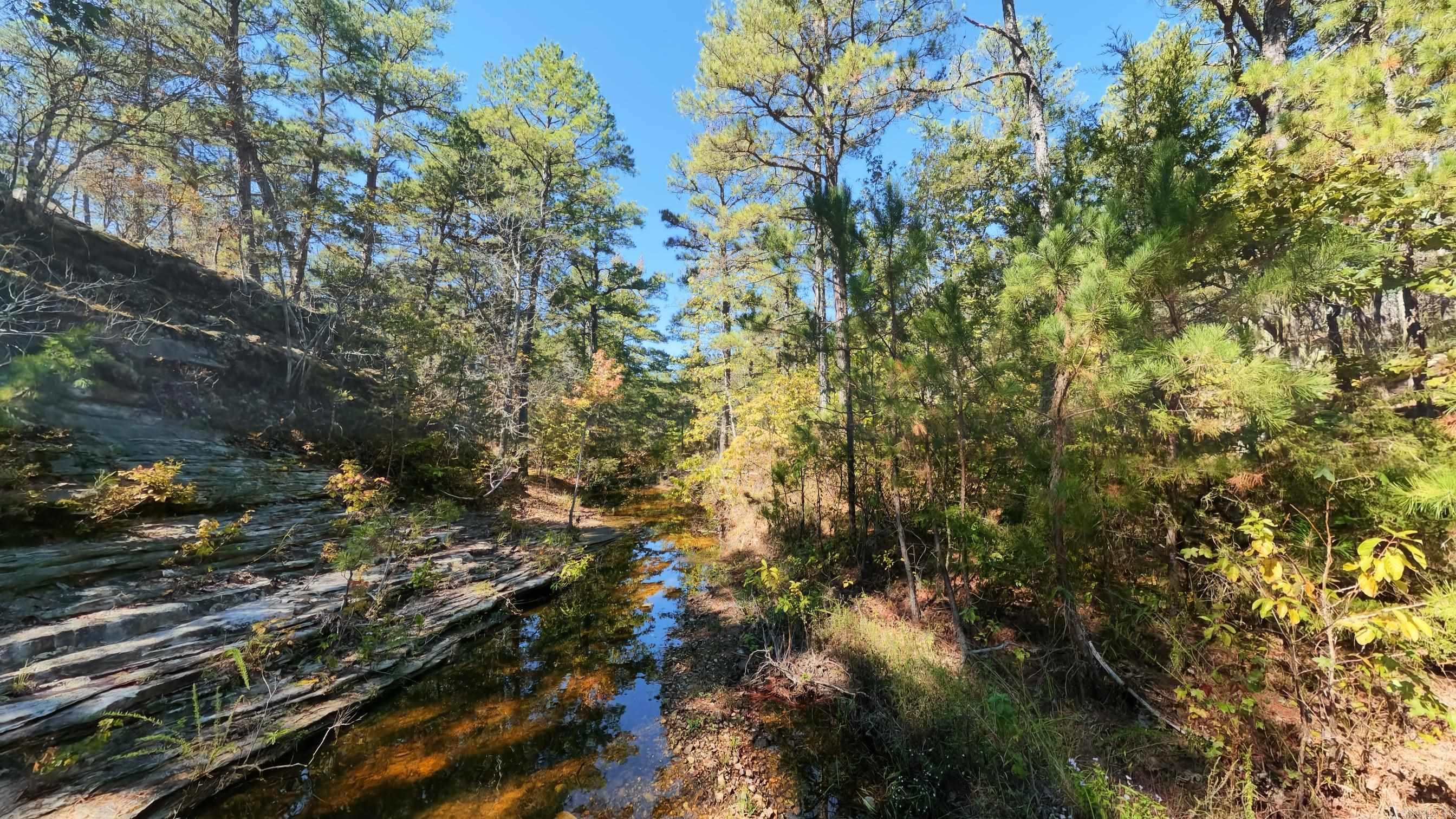 1019 Bartmess Road Property Photo 39