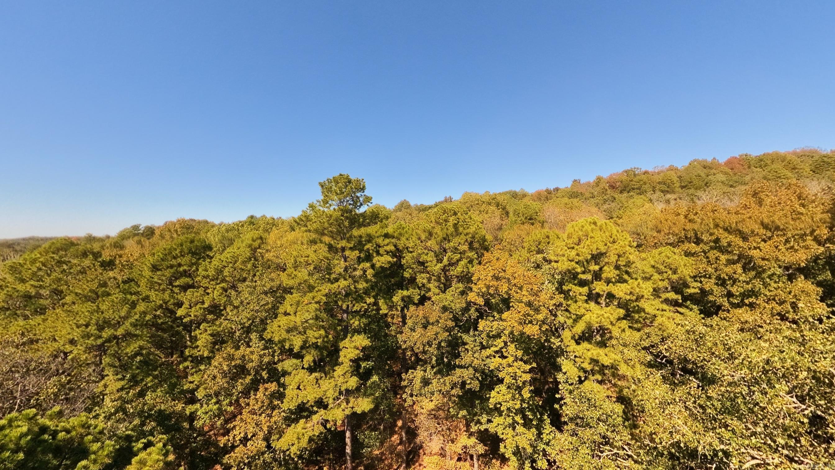 1019 Bartmess Road Property Photo 41