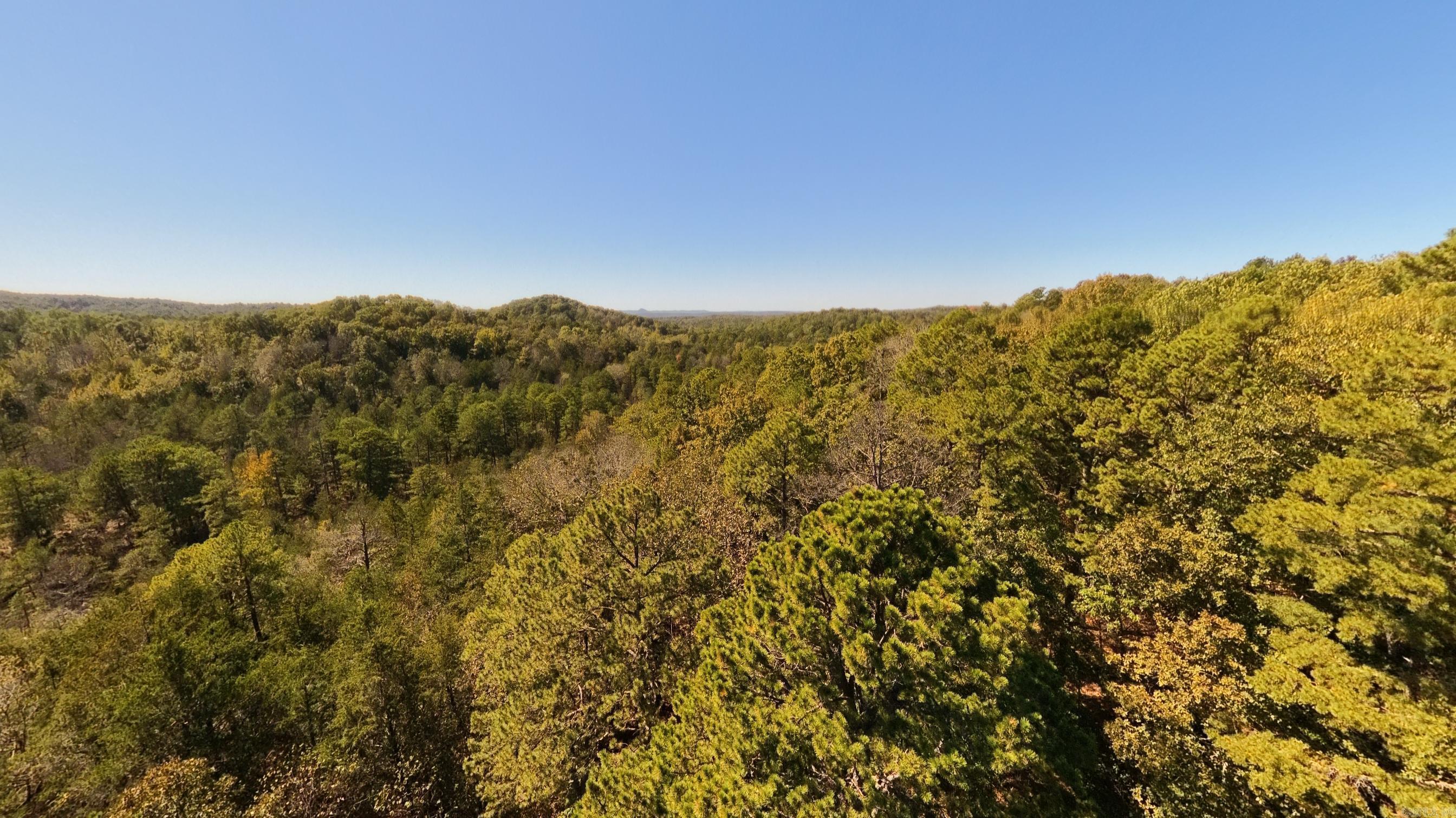 1019 Bartmess Road Property Photo 42