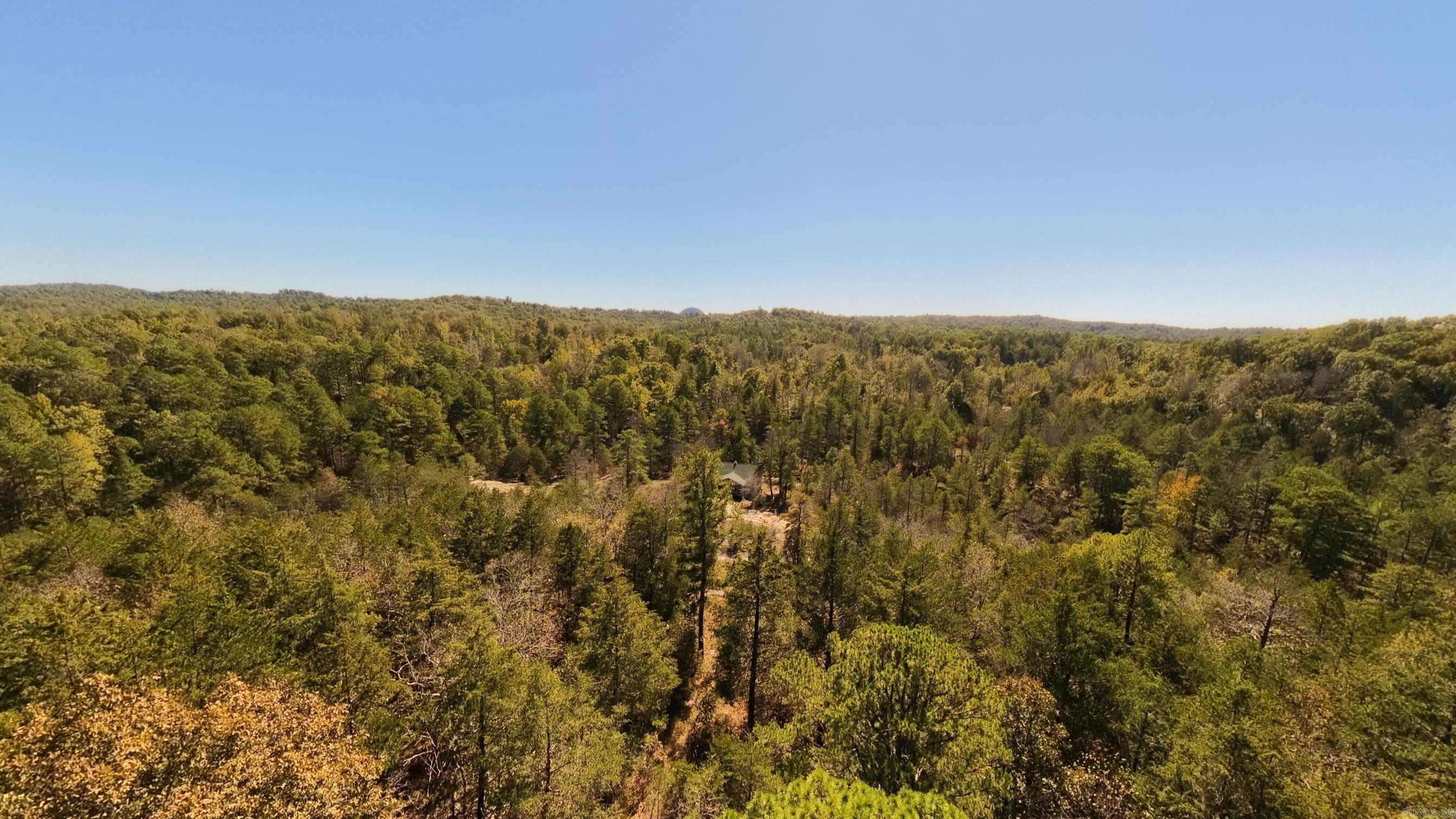 1019 Bartmess Road Property Photo 43
