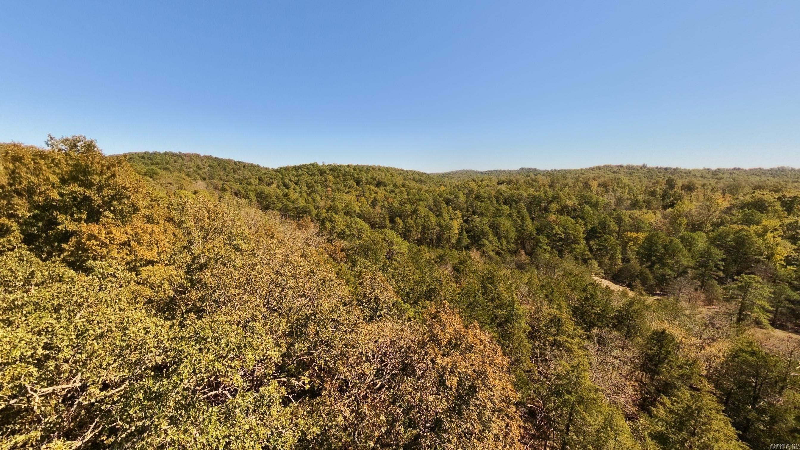 1019 Bartmess Road Property Photo 44