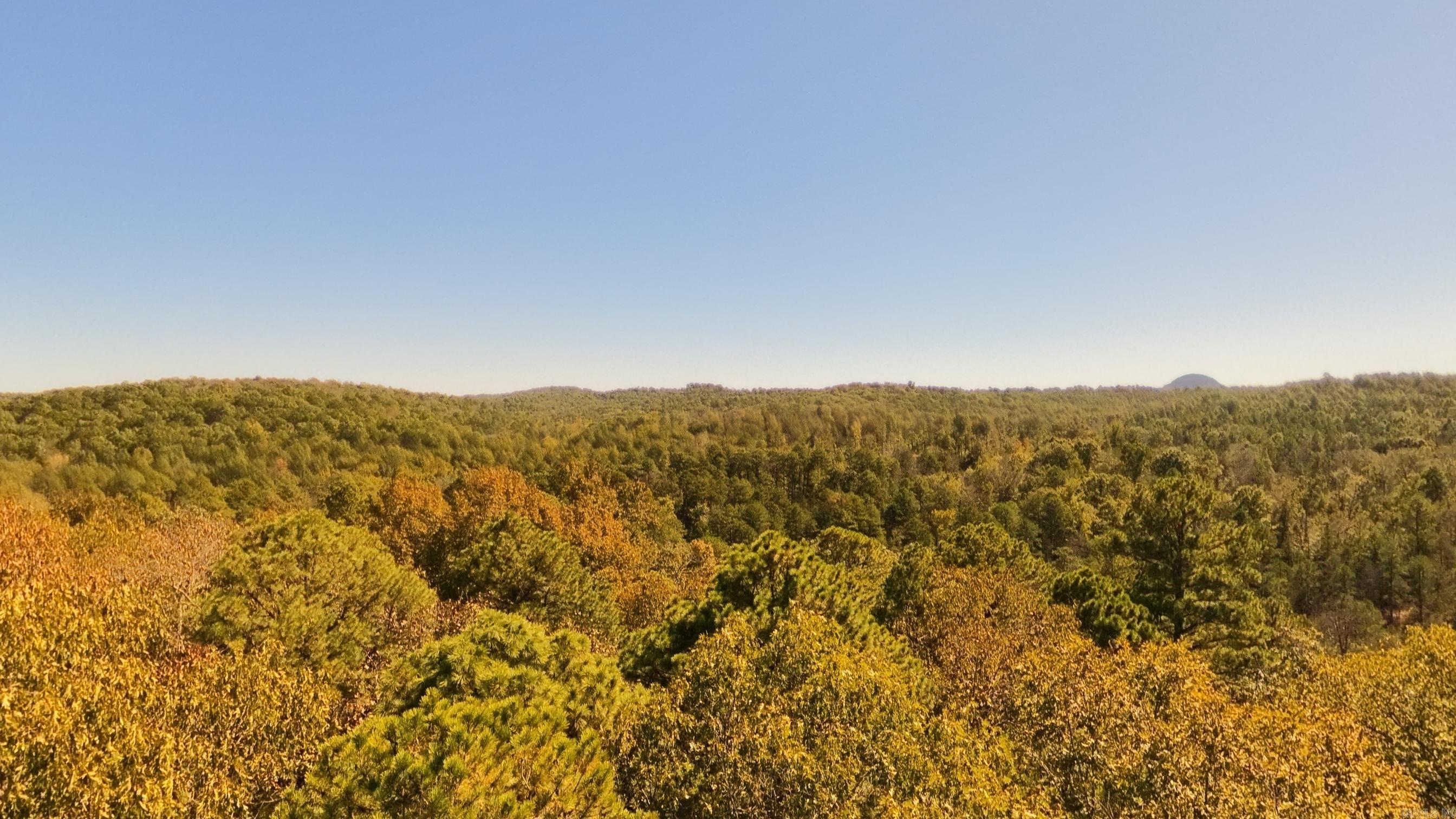 1019 Bartmess Road Property Photo 45