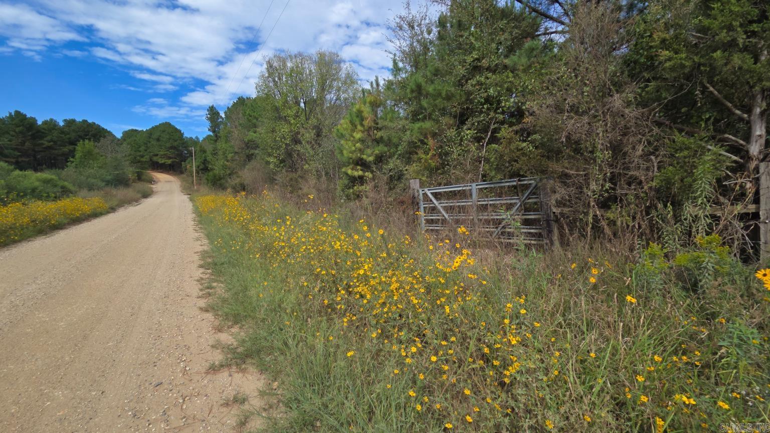 Tbd (10 Acres) Lambert Rd Property Photo 3