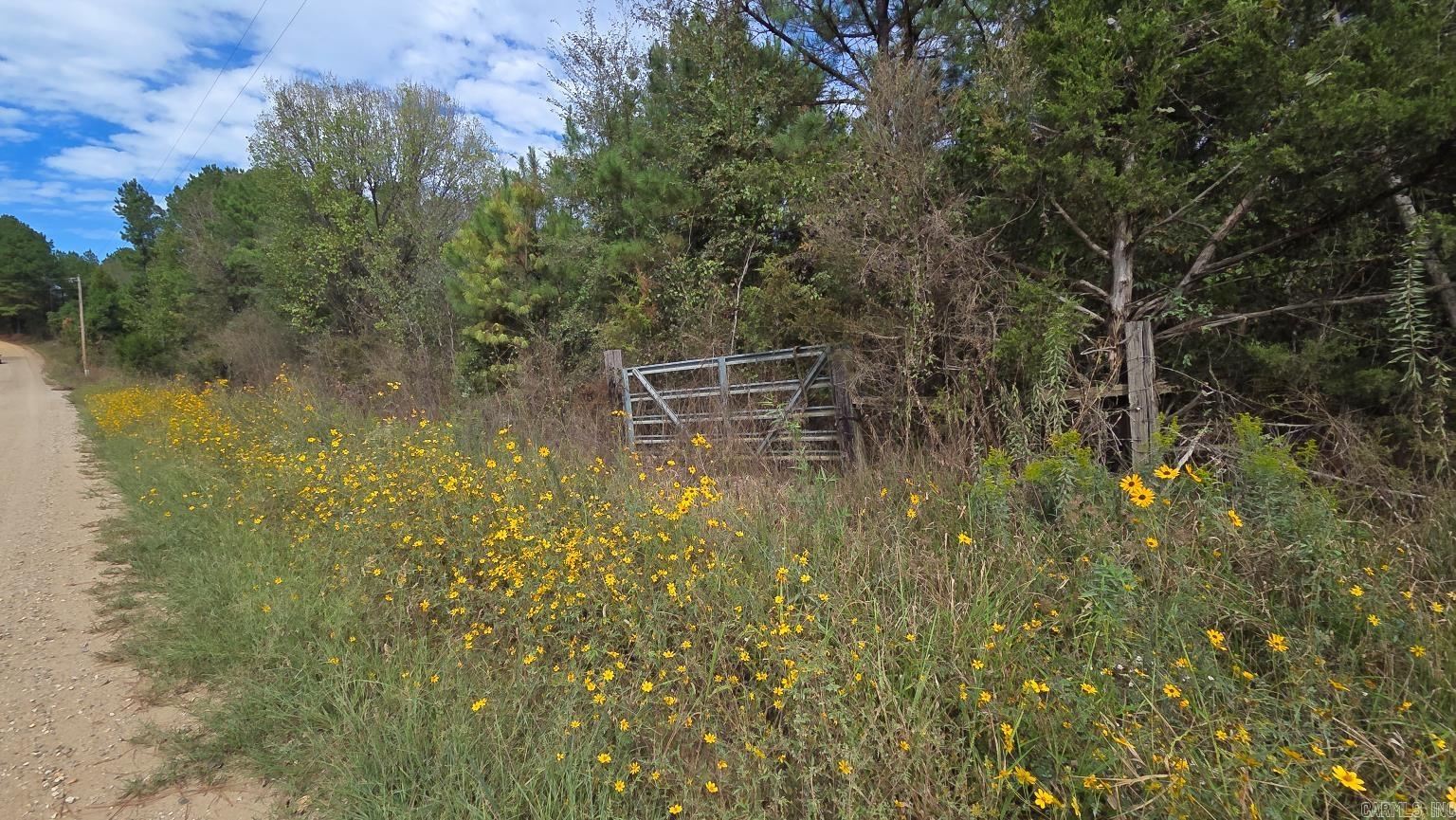 Tbd (10 Acres) Lambert Rd Property Photo 6