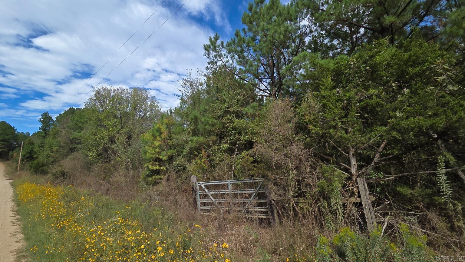 Tbd (10 Acres) Lambert Rd Property Photo 8