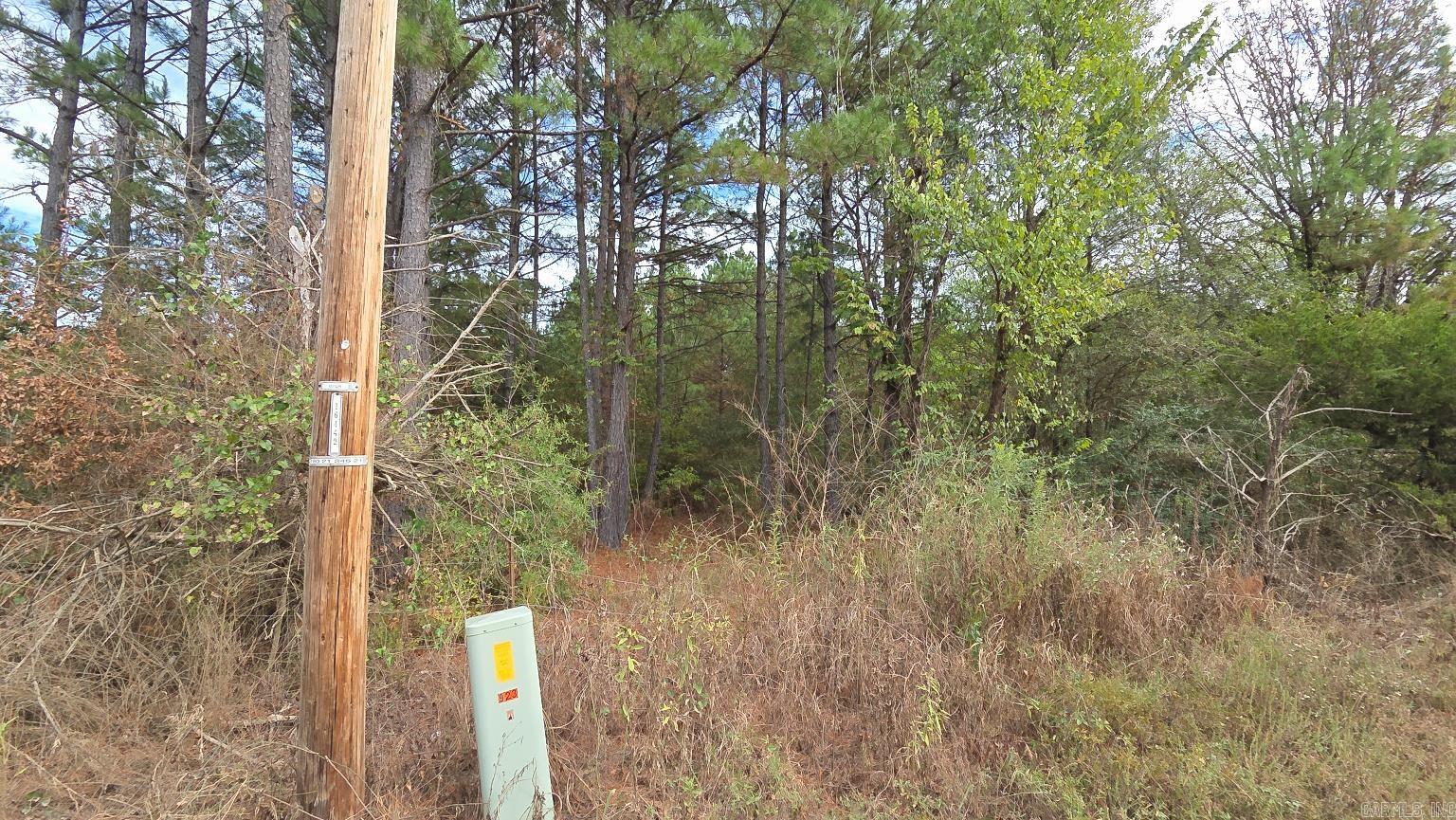 Tbd (10 Acres) Lambert Rd Property Photo 11