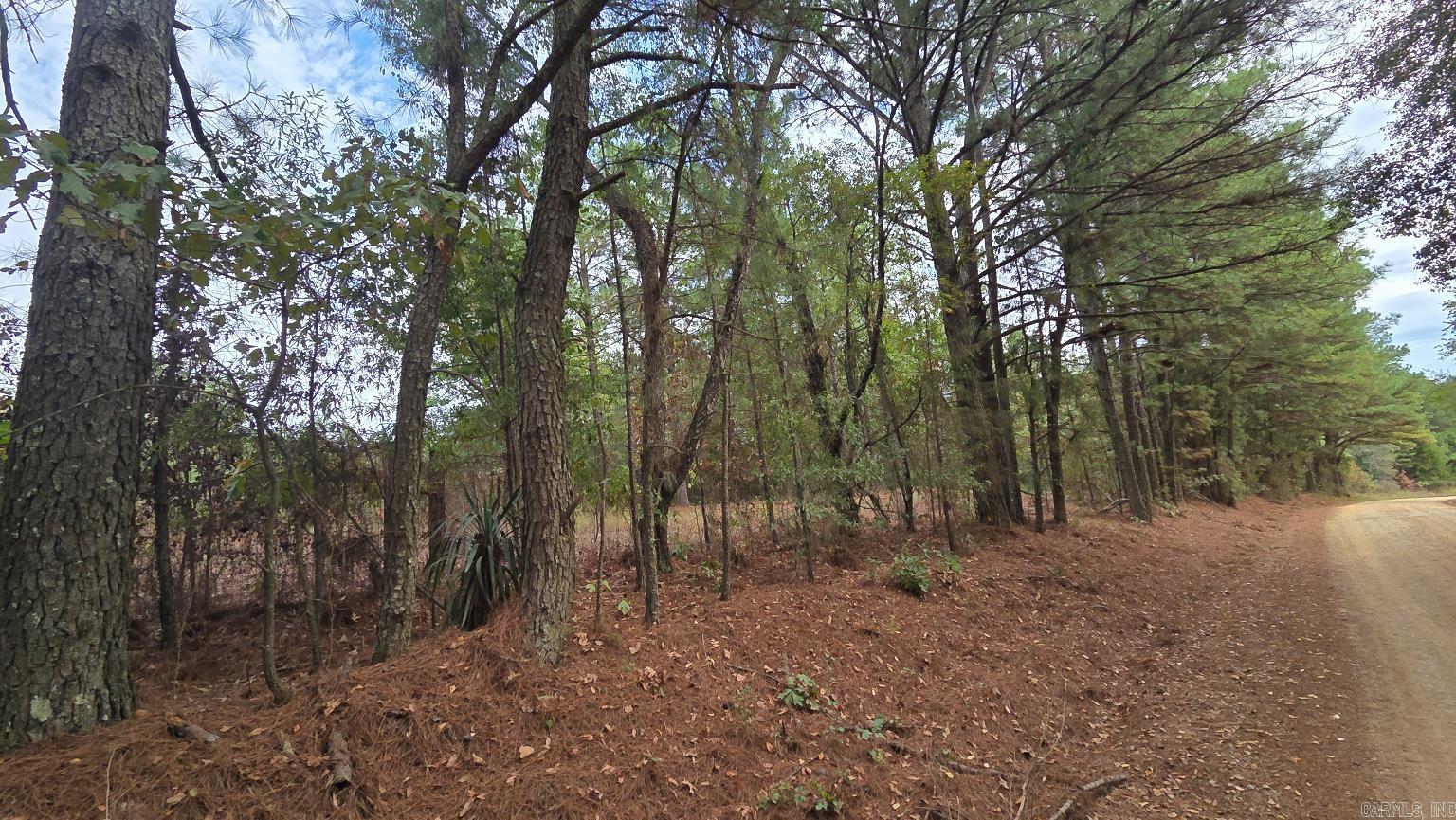 Tbd (10 Acres) Lambert Rd Property Photo 12