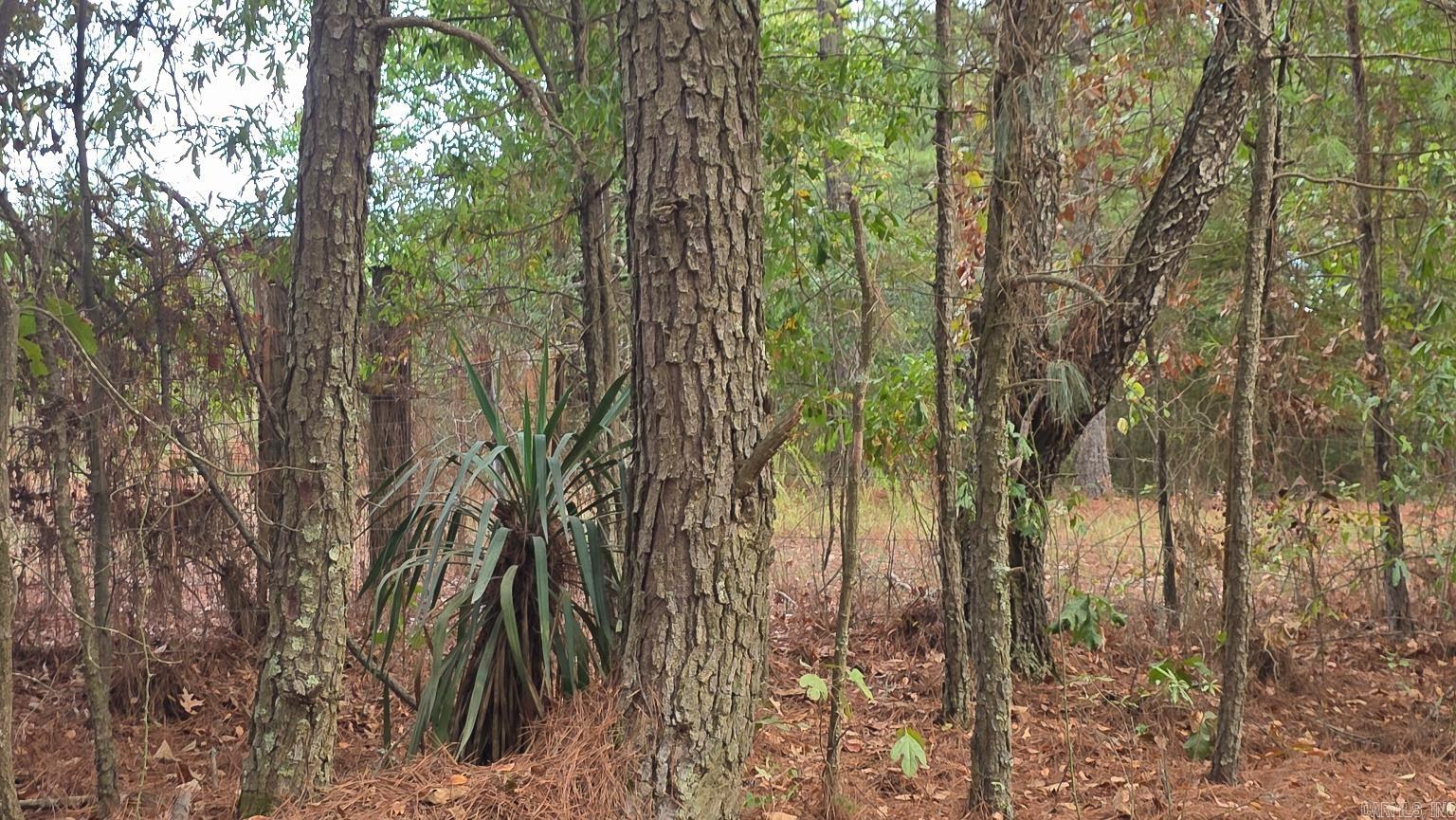 Tbd (10 Acres) Lambert Rd Property Photo 13