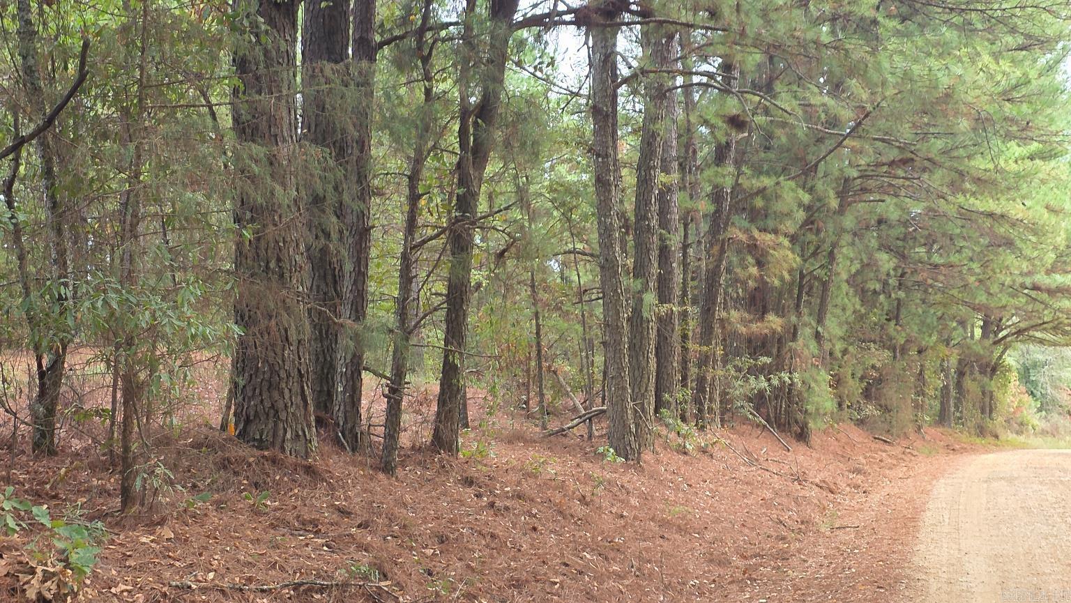 Tbd (10 Acres) Lambert Rd Property Photo 14