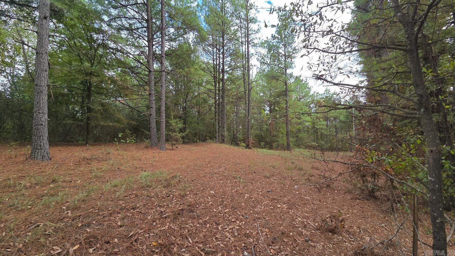 Tbd (10 Acres) Lambert Rd Property Photo 16