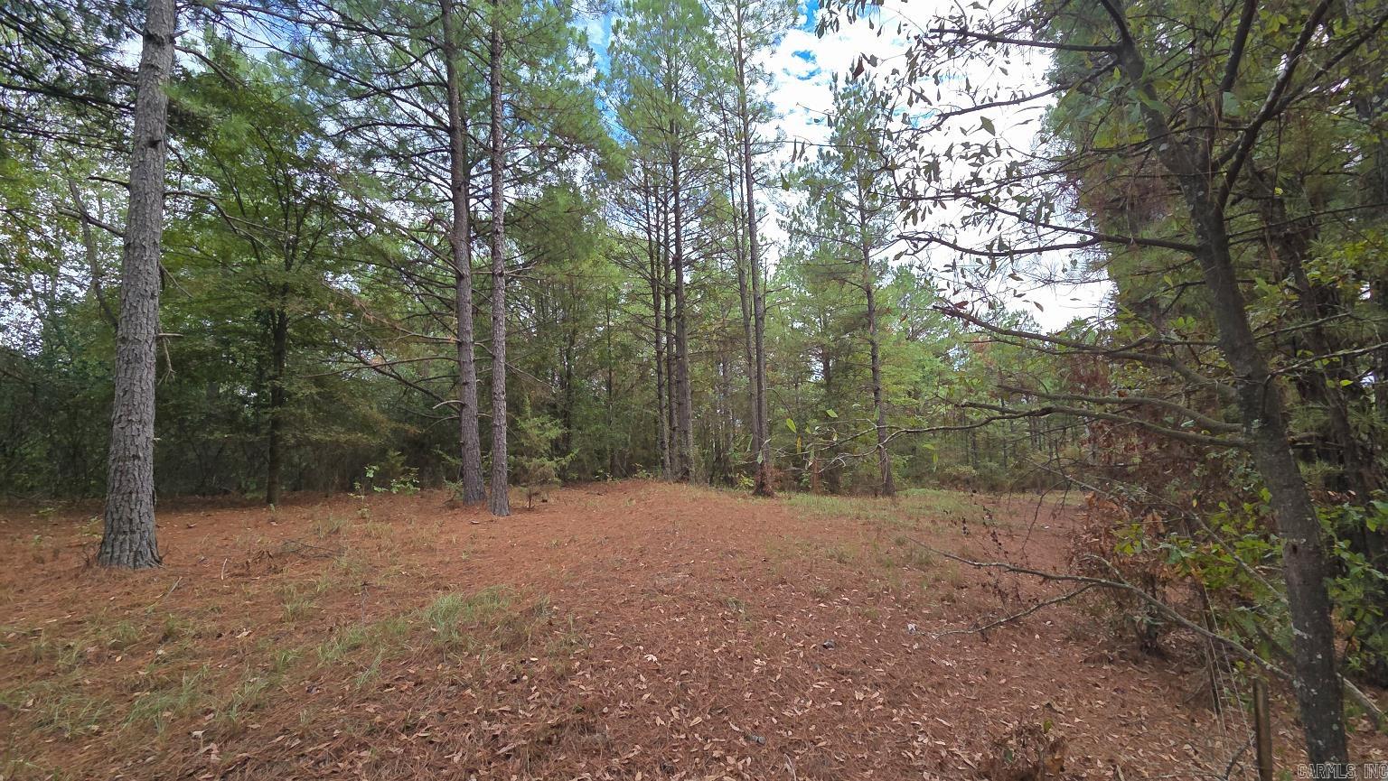 Tbd (10 Acres) Lambert Rd Property Photo 17