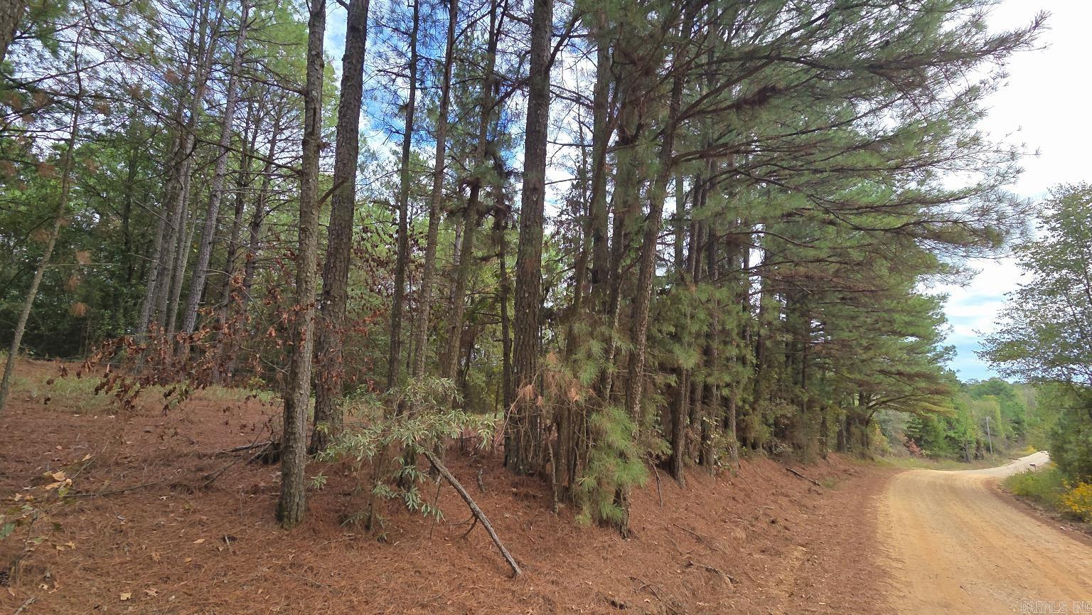 Tbd (10 Acres) Lambert Rd Property Photo 18