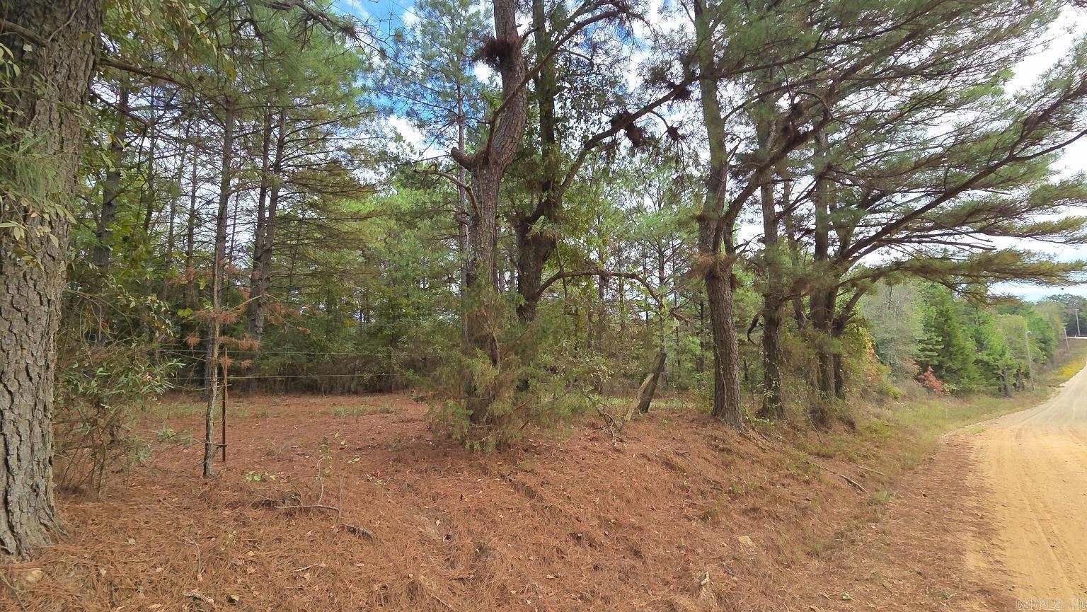 Tbd (10 Acres) Lambert Rd Property Photo 19