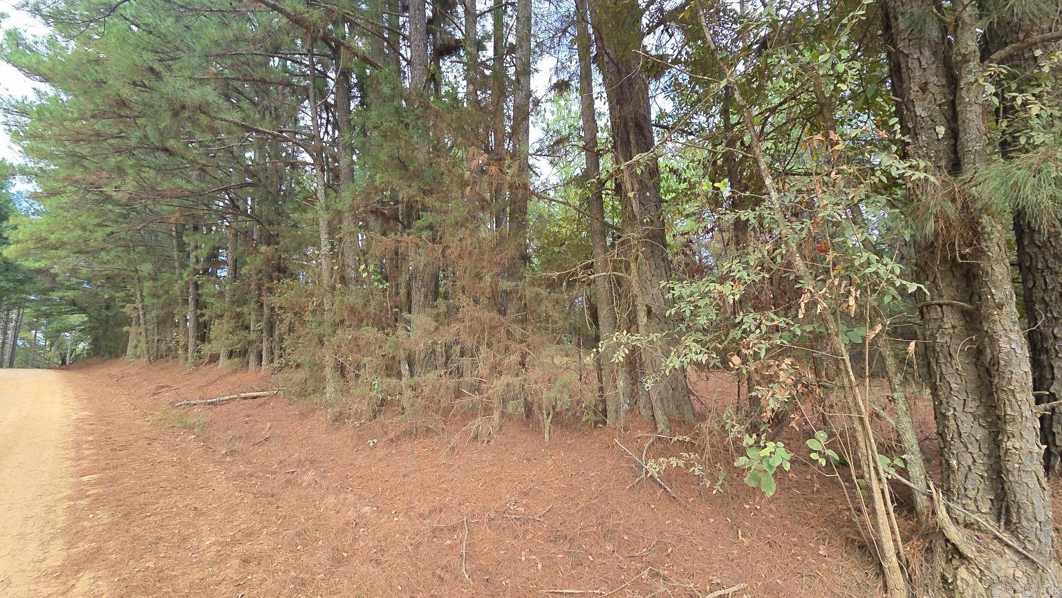 Tbd (10 Acres) Lambert Rd Property Photo 20
