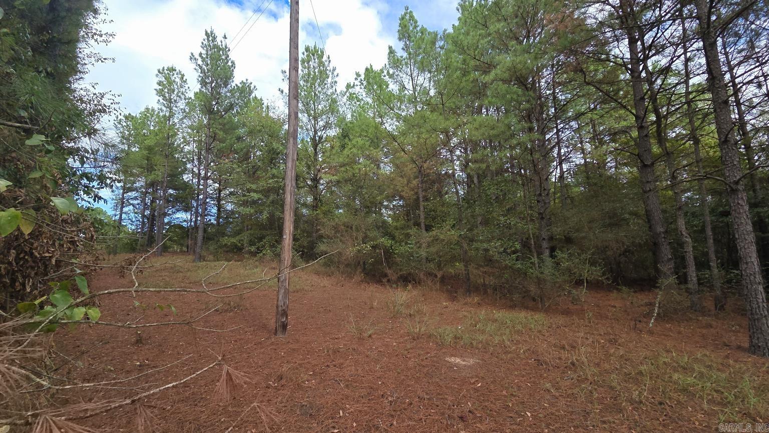 Tbd (10 Acres) Lambert Rd Property Photo 21