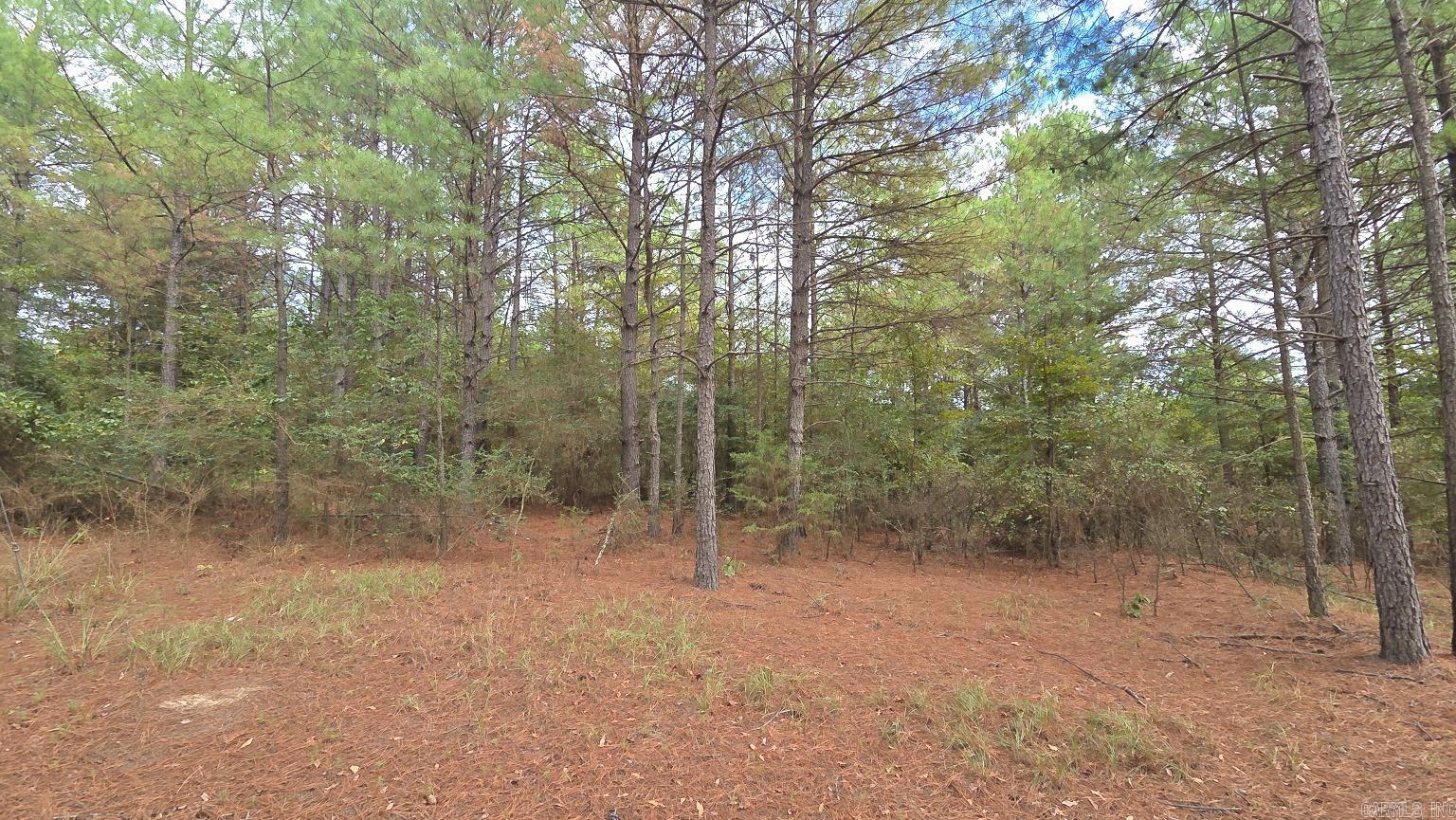 Tbd (10 Acres) Lambert Rd Property Photo 22