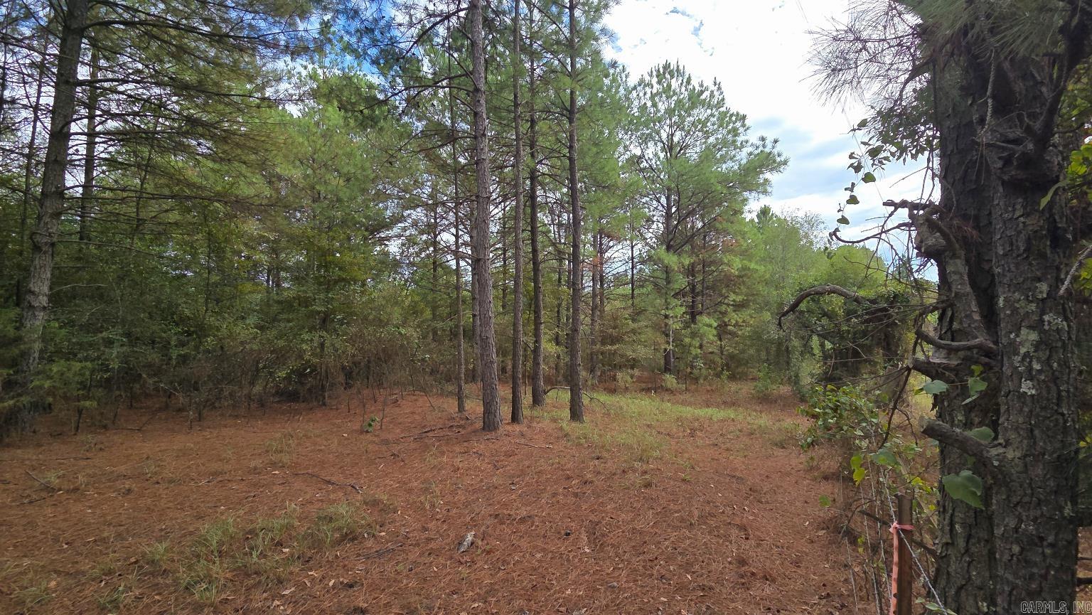 Tbd (10 Acres) Lambert Rd Property Photo 23