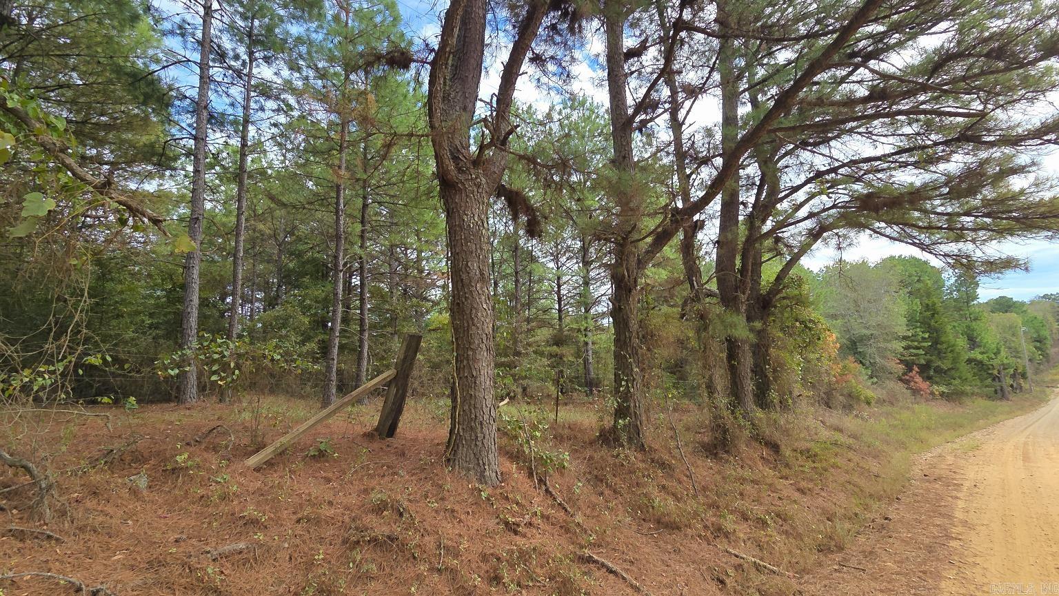 Tbd (10 Acres) Lambert Rd Property Photo 24
