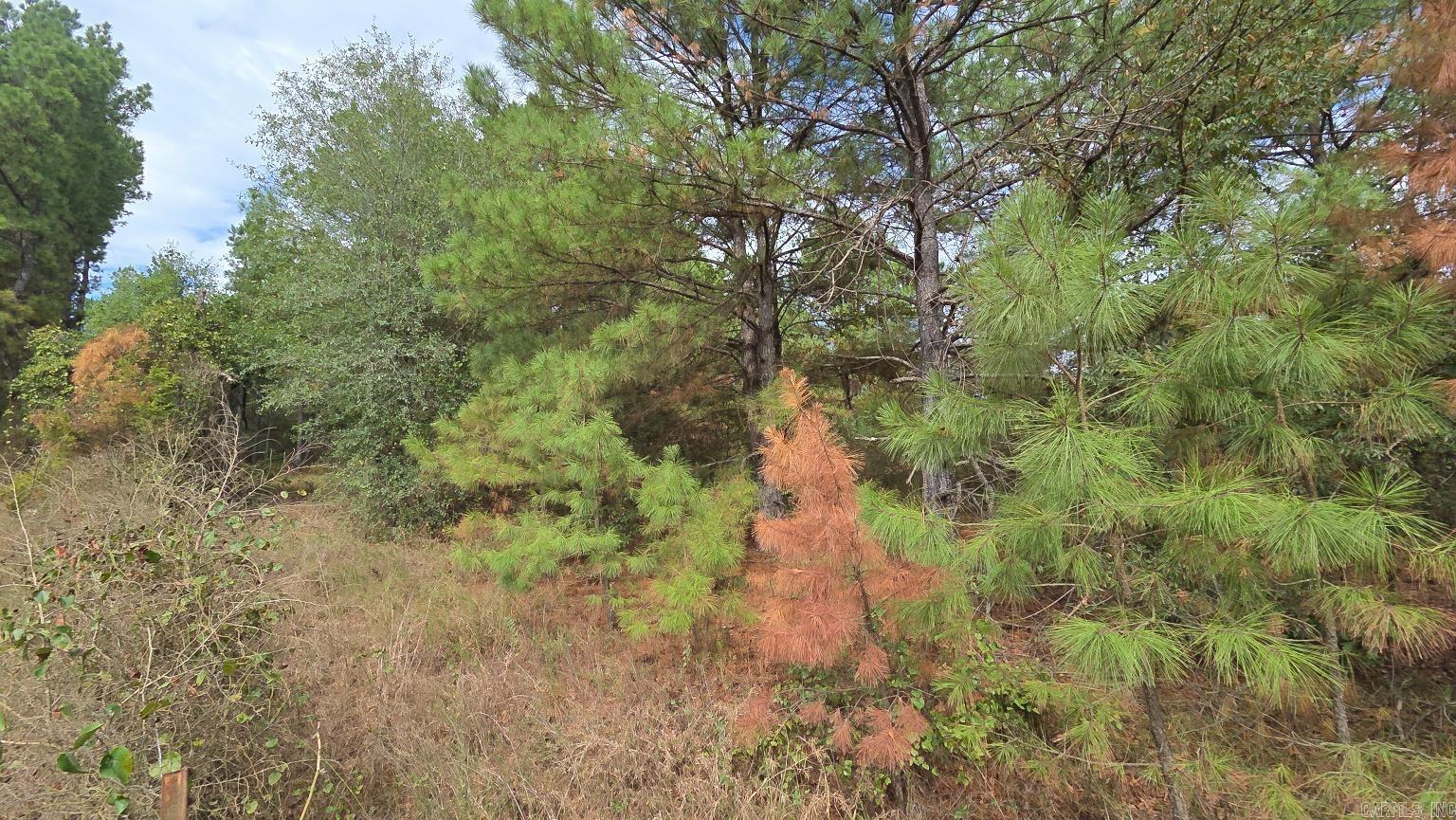 Tbd (10 Acres) Lambert Rd Property Photo 30
