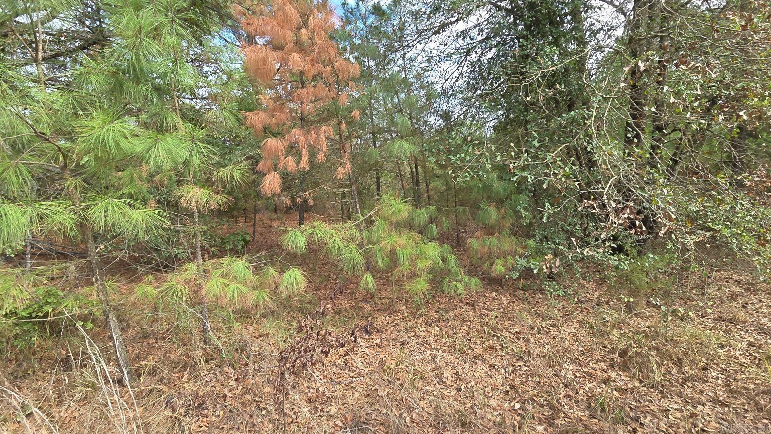 Tbd (10 Acres) Lambert Rd Property Photo 31