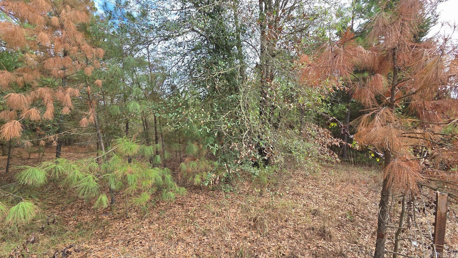 Tbd (10 Acres) Lambert Rd Property Photo 32