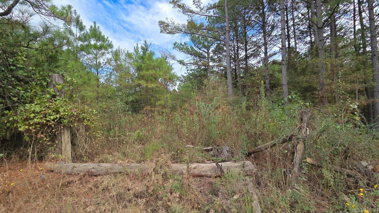 Tbd (10 Acres) Lambert Rd Property Photo 33