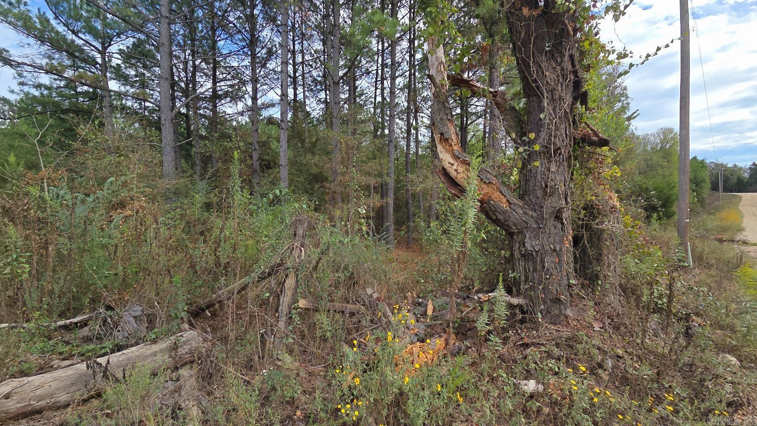Tbd (10 Acres) Lambert Rd Property Photo 34