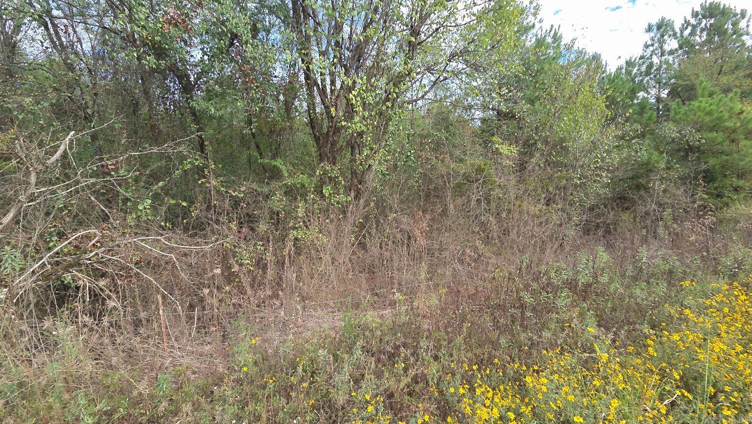 Tbd (10 Acres) Lambert Rd Property Photo 36