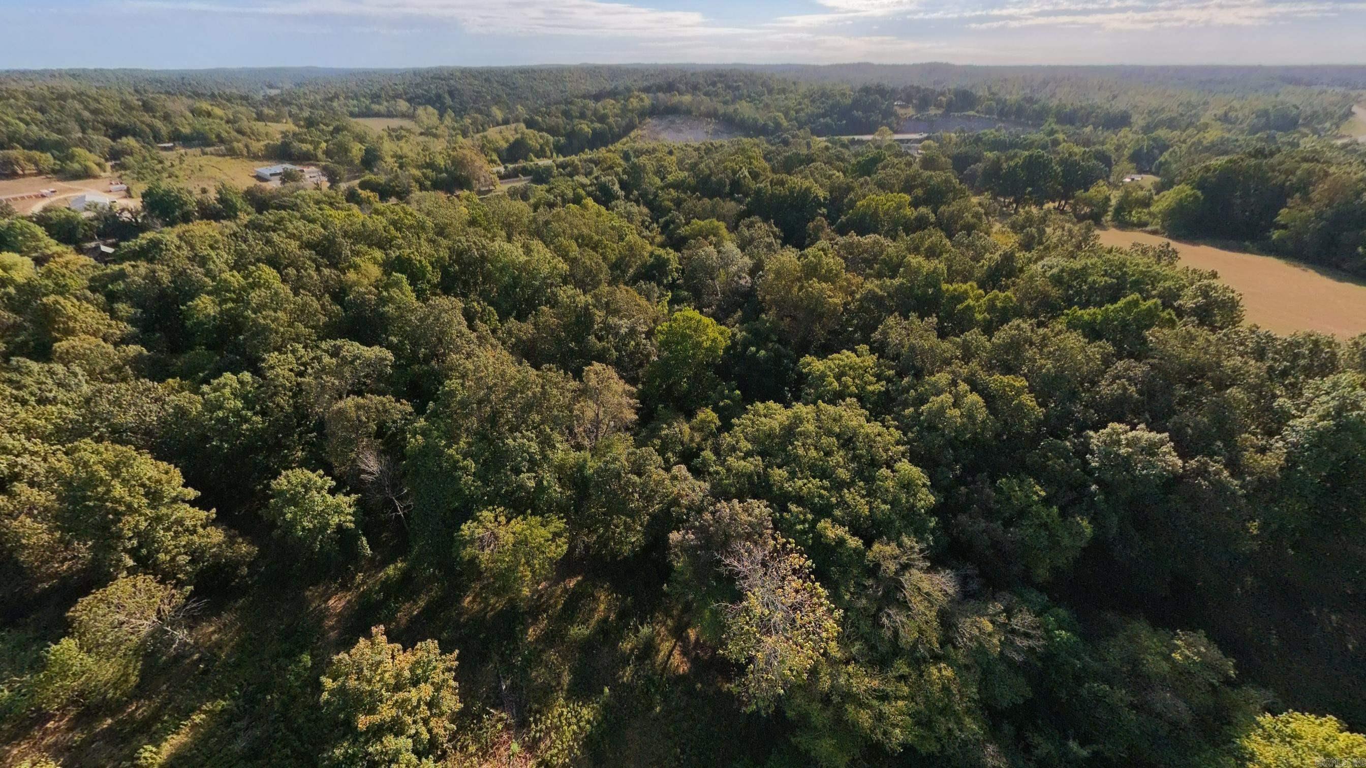 000 Riverbend Road- Lot 13 Property Photo 3